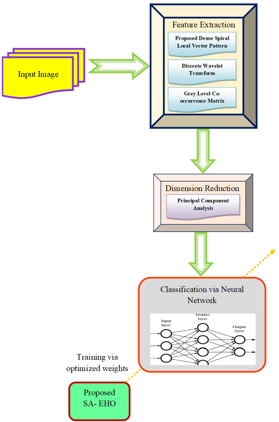 Impact of self adaptive-elephant herding optimization towards neural ...