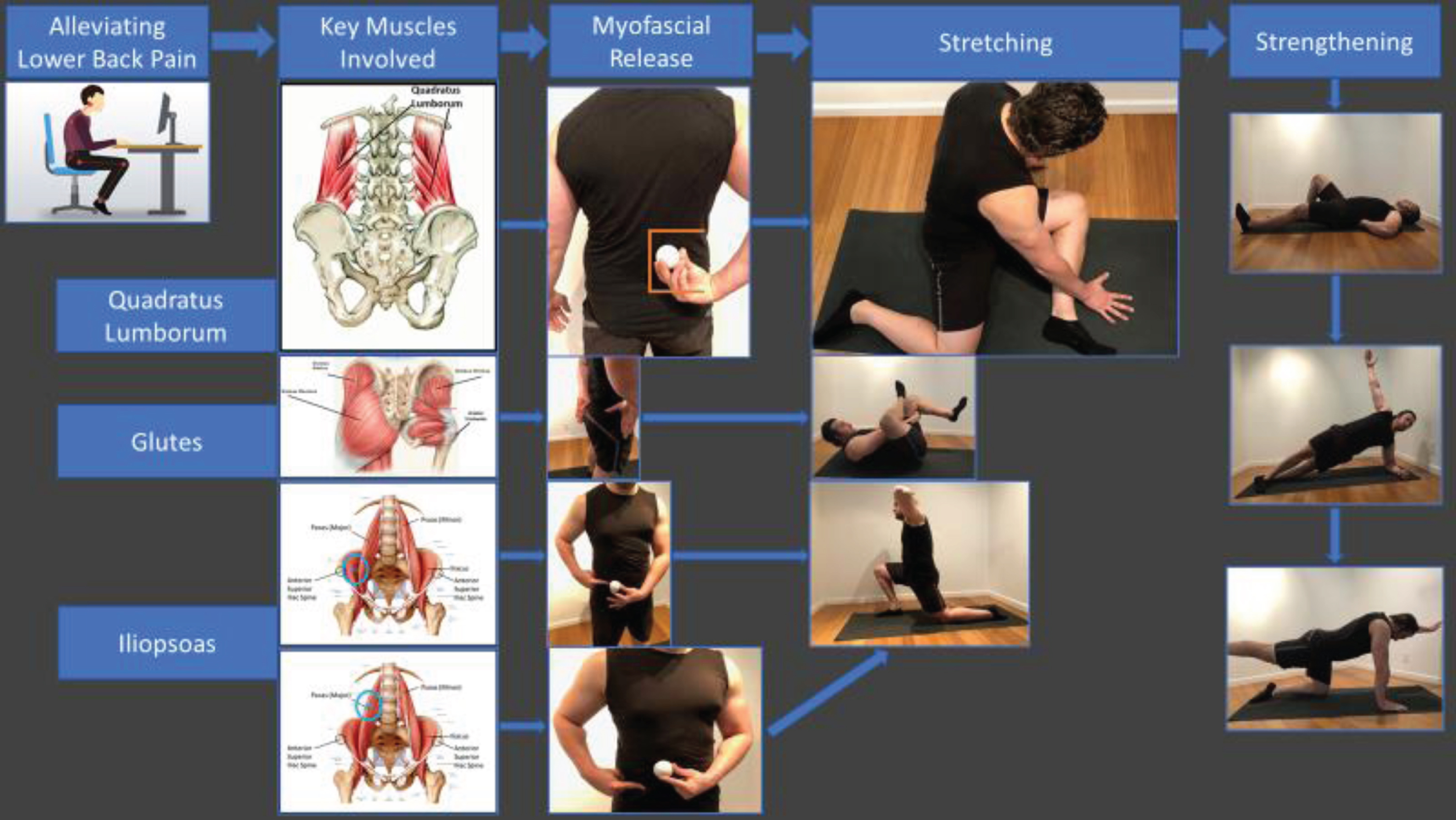 So it's your Psoas: A common hidden cause of lower back pain — ACRO  Physical Therapy & Fitness