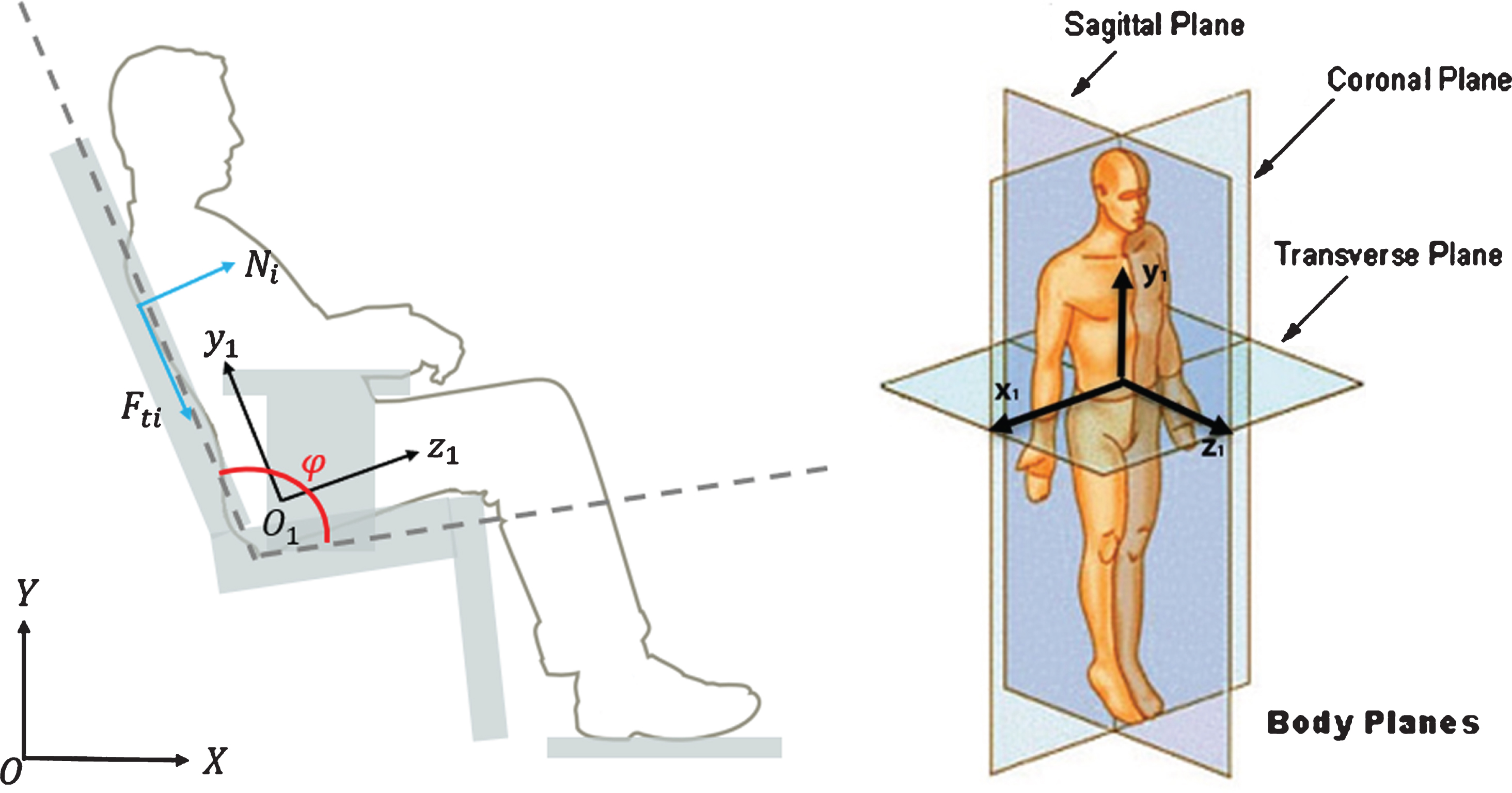 Analysis and modeling of human seat interaction with a focus on