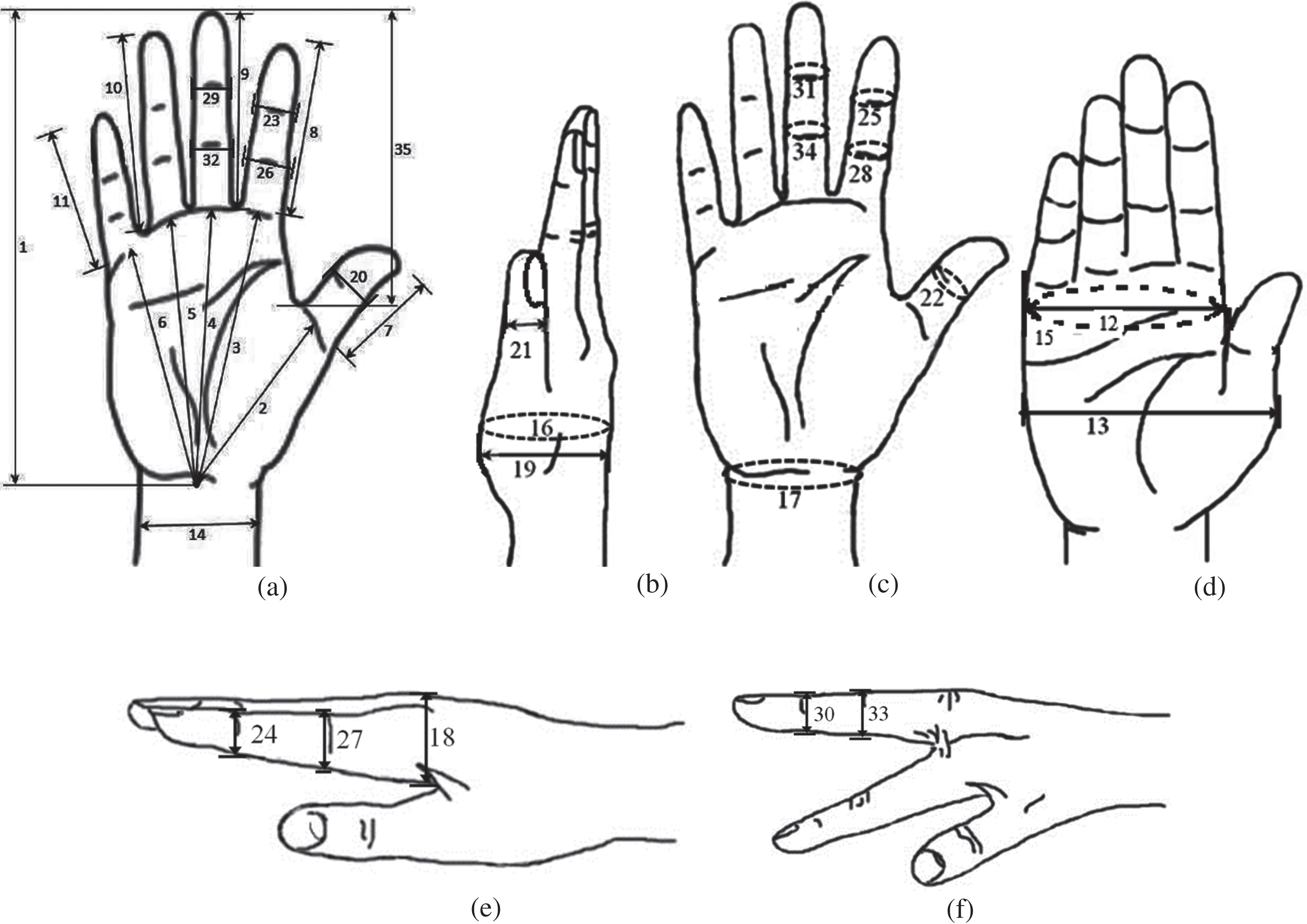 An investigation of the hand anthropometric database of agricultural ...