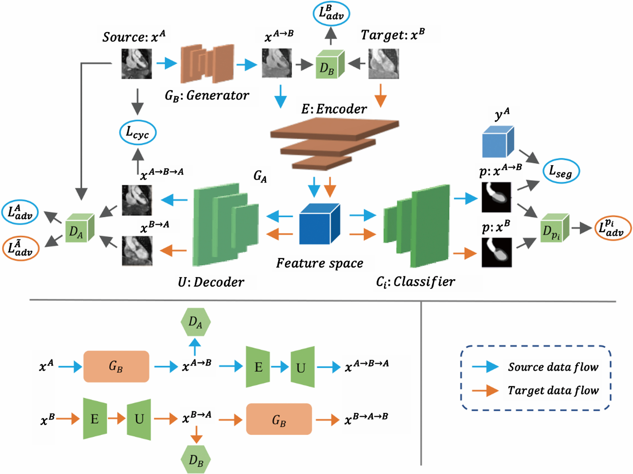 RA-SIFA: Unsupervised domain adaptation multi-modality cardiac ...