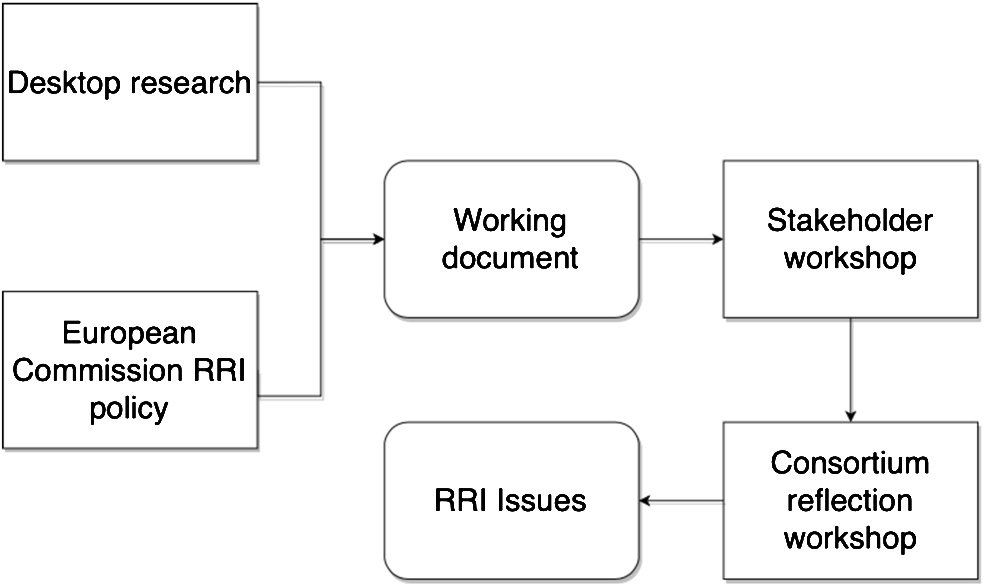 Summary of the RRI process.