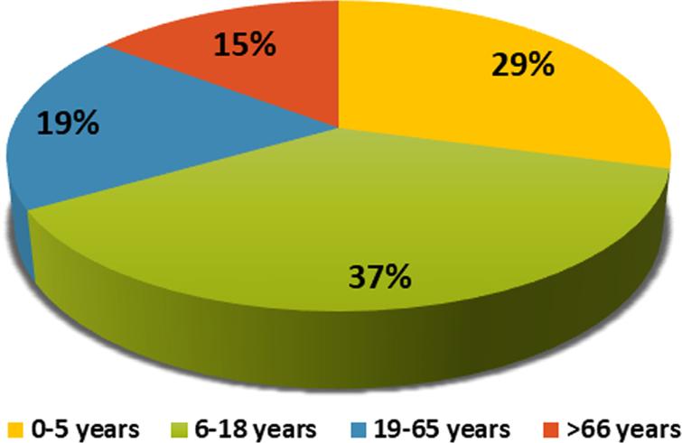 Age groups of clients who received speech and language therapy through telepractice.