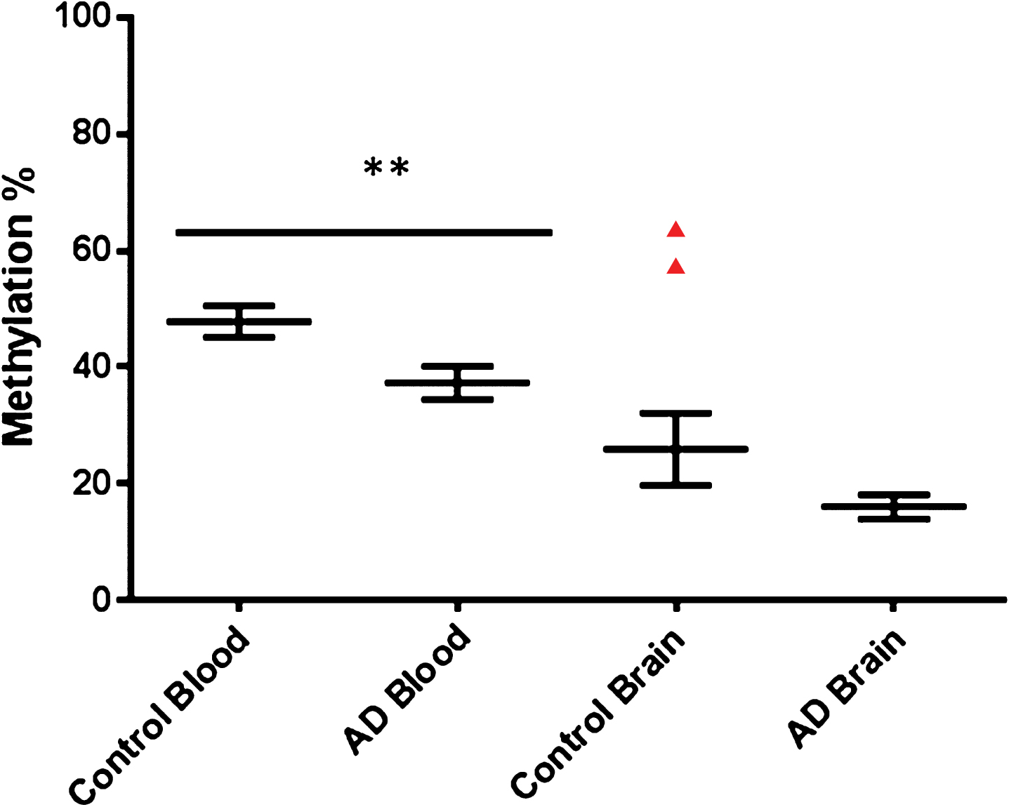 Collective group wide methylation Control versus AD for RIN3. Graph shows average methylation across the whole region investigated in the RIN3 3’UTR. Control blood n = 26, AD blood n = 22, Control brain n = 10, AD brain n = 14. Control blood Male to Female n = 12/14, AD blood Male to Female n = 15/7.