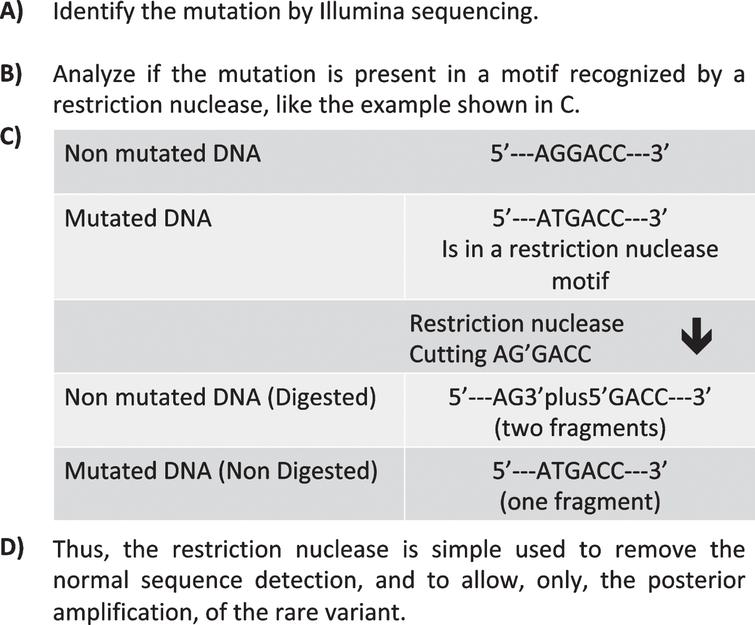 Removal of fragments with a specific length by means of nuclease digestion. The rational of the process is shown. Thus, when a mixture of DNA fragments of the same length is digested with an enzyme that cuts only those fragments bearing a specific nucleotide, the uncleaved fragments can be isolated by gel electrophoresis, since they maintain their length. These fragments can then be amplified and sequenced in further steps.