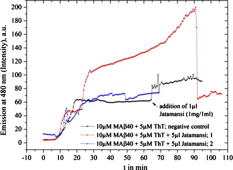 Jatamansi fibrillation tests with MAβ40 show no inhibition, instead, the fibrillation seems to be increased.
