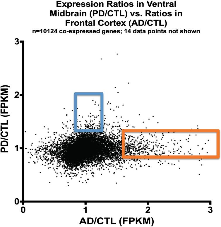 Plot of expression ratios (PD/CTL versus AD/CTL) in postmortem samples of 10,124 co-expressed genes. Note that most genes are near ratio values of 1.0. The blue rectangle denotes genes that are relatively over-expressed in PD, and the orange rectangle denotes genes relatively over-expressed in AD.