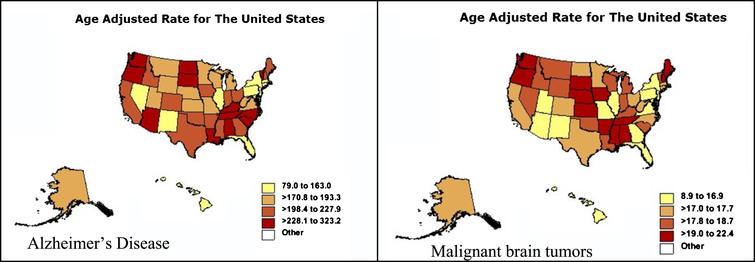 Alzheimer’s disease and malignant brain tumor age adjusted mortality rates for 50 US states and the District of Columbia in persons age 65 and older. Note the similarity in the two distributions, although there are mismatches. Washington State has the highest AD age adjusted rate, New York the lowest; whereas in the case of malignant brain tumors, South Dakota has the highest age adjusted rate, Hawaii the lowest, for reasons not entirely clear (https://wonder.cdc.gov/cmf-icd10.html).