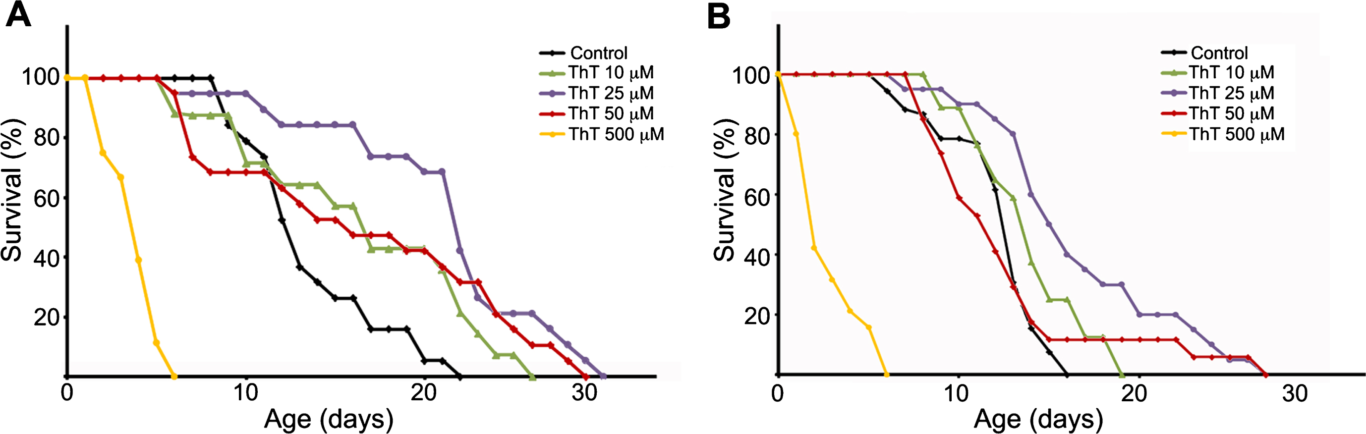 Thioflavin T (ThT) extends lifespan of a C. elegans model of tauopathy. Dose–response Kaplan–Meier survival curve of synchronized populations of wild-type (N2) worms (A) or mutant aex-3/T337 worms (B), exposed to 0 μM (control) to 500 μM ThT at 20°C. These data correspond to one representative experiment out of three independent assays (n = 20 worms per experiment and dose).