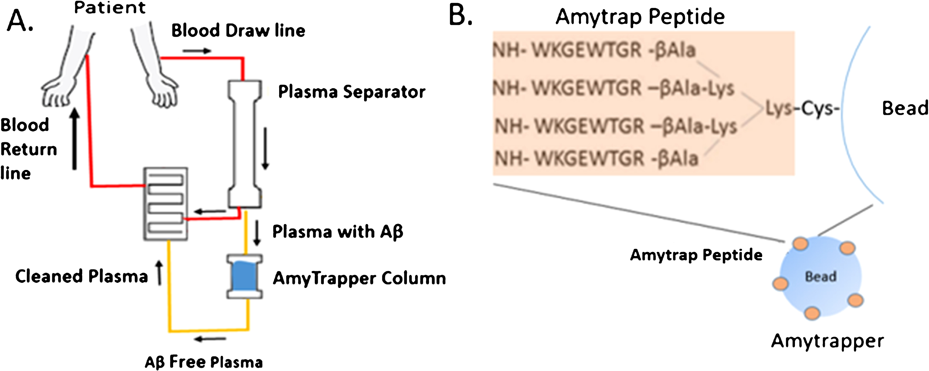 A) Flowchart of Amytrapper, a treatment option for Alzheimer’s disease patients. Patient plasma is passed through Amytrapper where API conjugated sepharose beads sequester plasma Aβ returning Aβ-free plasma to the patient. B) The Amytrap peptide, an Aβ binding retro-inverso peptide is conjugated to the bead by a PEG linker.