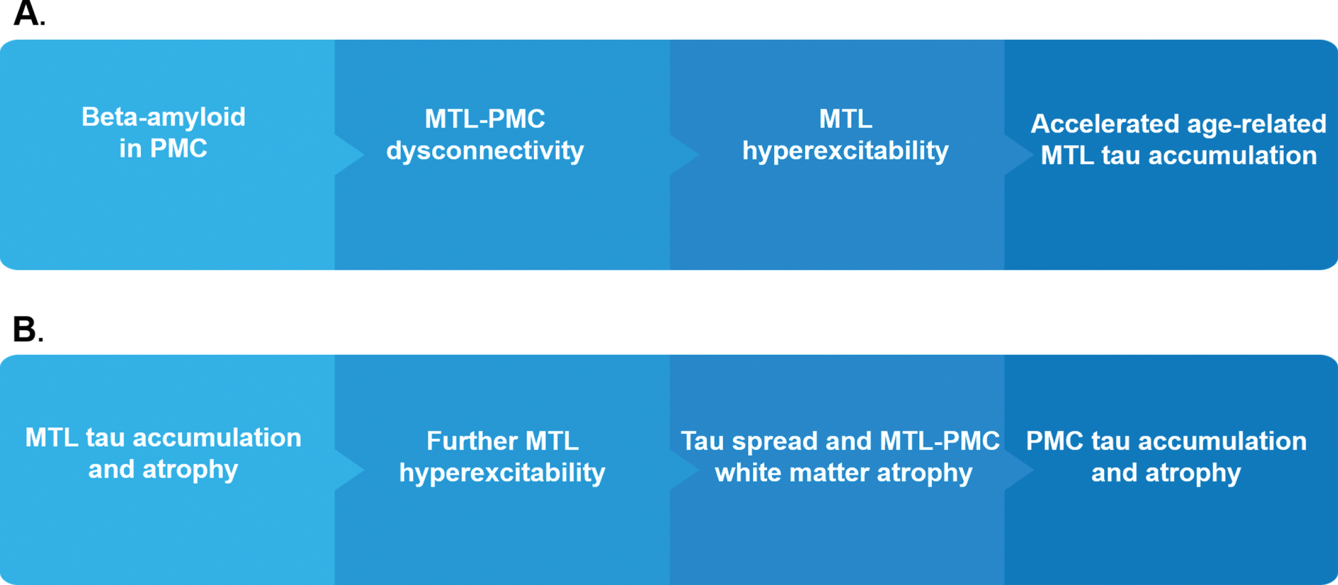 AD model linking MTL-PMC disconnection and MTL circuit hyperexcitability with tau and amyloid-β pathology. The sequence of events schematized in panels A and B are complementary and do not mutually exclude each other. A) At initial disease stages, amyloid-β pathology impairs the normal information flow between the MTL and PMC by driving functional and structural dysconnectivity between the PMC and the MTL, which results in disinhibition of the local MTL circuit and local MTL hyperactivity and hyperconnectivity during task and rest. MTL circuit hyperexcitability is the driving force accelerating age-related tau accumulation and atrophy in the MTL. B) Tau accumulation and atrophy in the MTL increase levels of local MTL circuit hyperexcitability, resulting in additional tau accumulation and facilitating subsequent tau spread out from the MTL to the PMC. Tau spread from the MTL to the PMC leads to advanced MTL-PMC disconnection through degeneration of white-matter tracts, eventually followed by cortical atrophy of the PMC. MTL, medial temporal lobes; PMC, parietomedial cortex.
