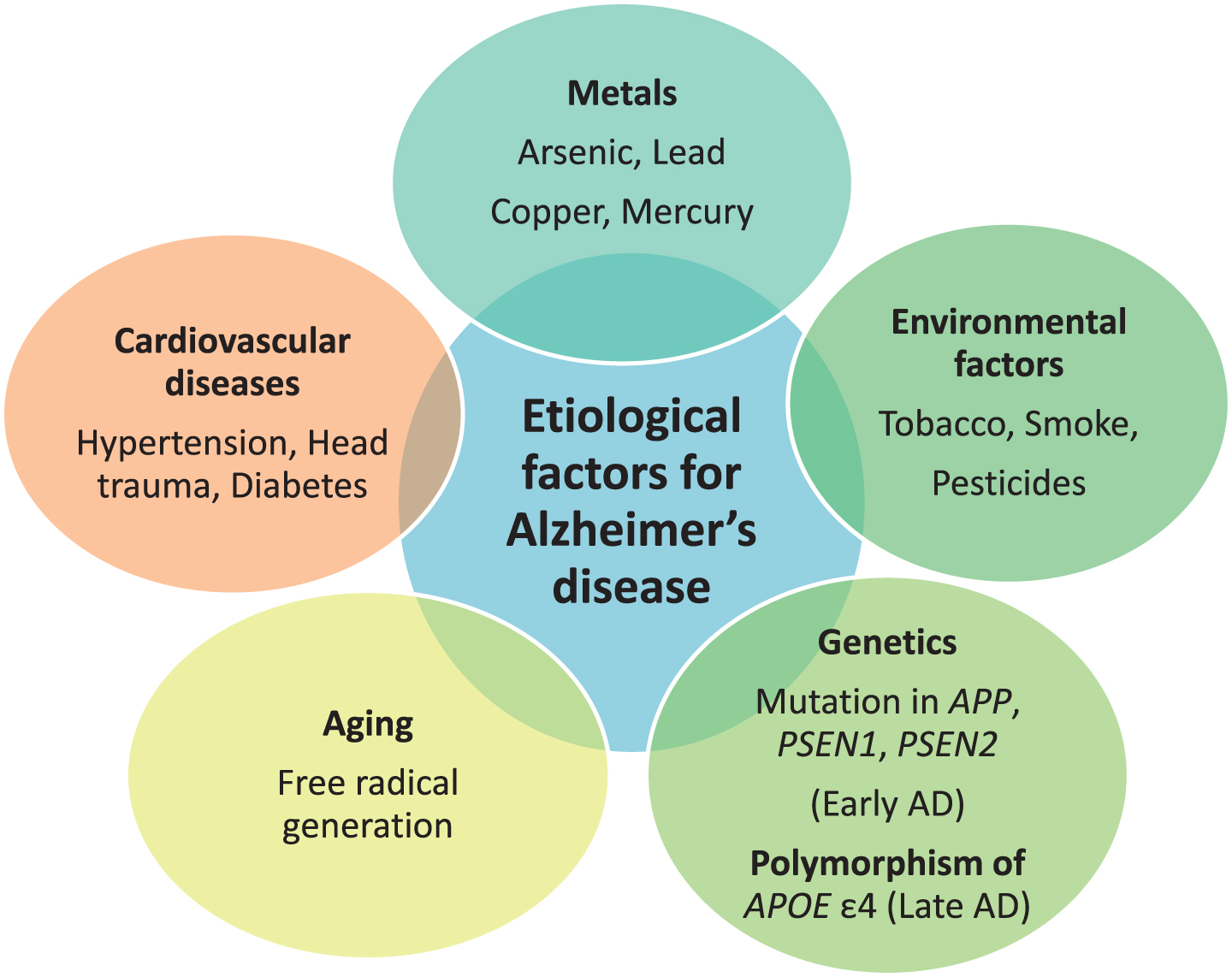 Etiological factors responsible for Alzheimer’s disease (AD).