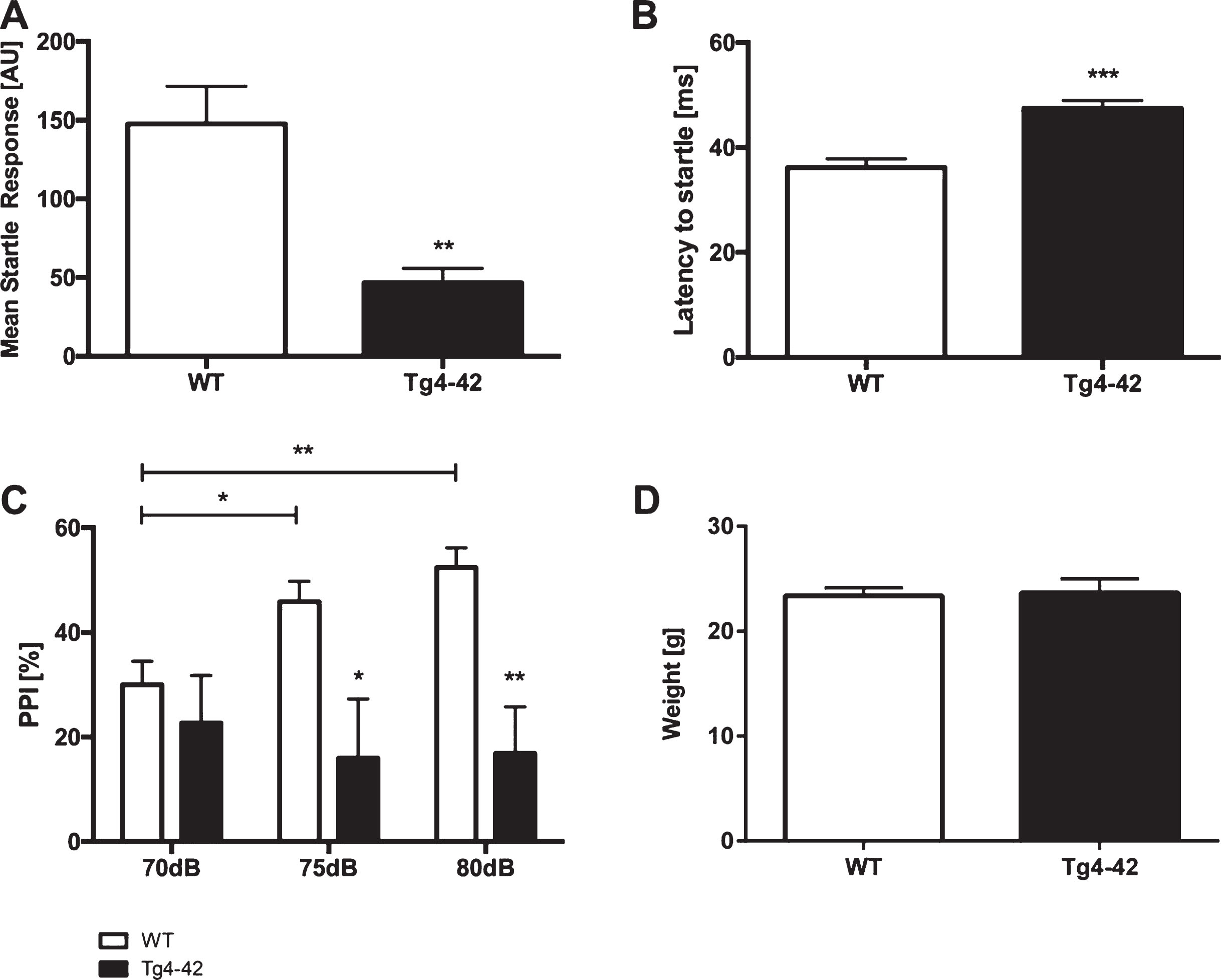 Altered acoustic startle response and prepulse inhibition in Tg4-42 mice. Tg4-42 mice showed a significantly lower acoustic startle response (A) and an increased latency to startle (B). Prepulse inhibition (PPI%) was significantly lower in Tg4-42 (n = 11) compared to WT (n = 13) mice at 70, 75, and 80 dB (C). Body weight did not differ between WT and Tg4-42 mice (D). AU = Arbitrary unit. Data presented as mean±S.E.M. A-B, D) unpaired t-test. C) Two-way analysis of variance (ANOVA) followed by Bonferroni multiple comparisons. ***p < 0.001; **p < 0.01; *p < 0.05.