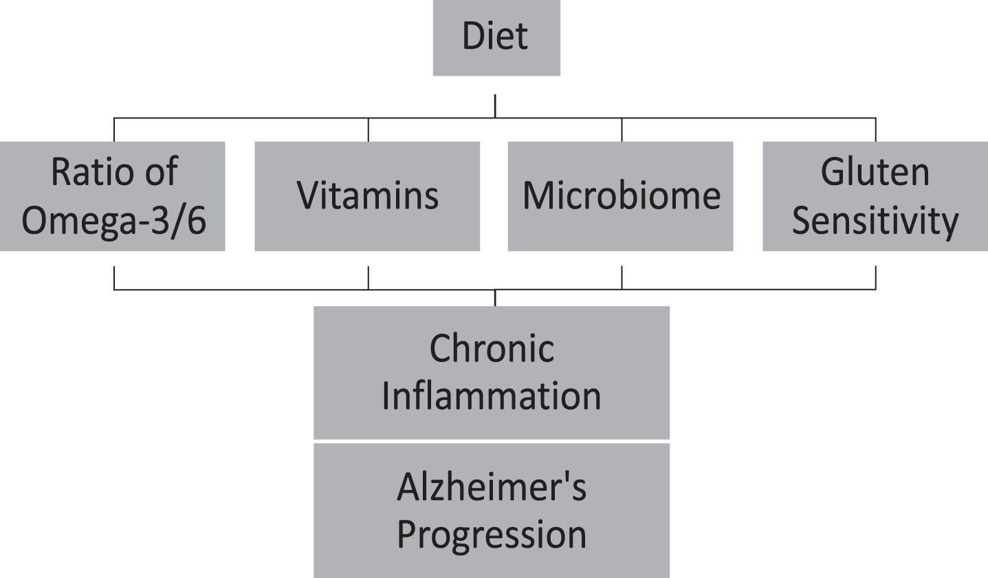 Diet can accelerate Alzheimer’s disease progression throughout chronic inflammation.