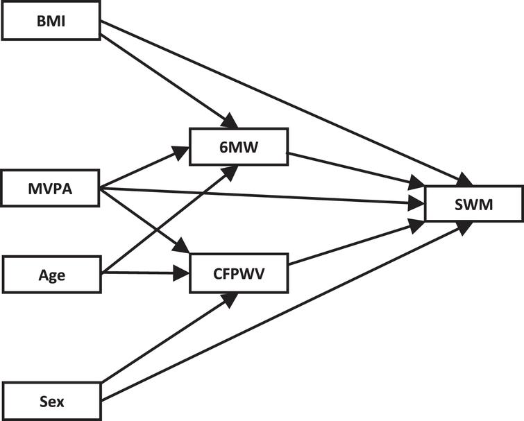 Conceptual model. BMI, body mass index; MVPA, moderate-to-vigorous physical activity; 6 MW, Six-Minute Walk test; CFPWV, carotid-femoral pulse wave velocity; SWM, Spatial Working Memory.