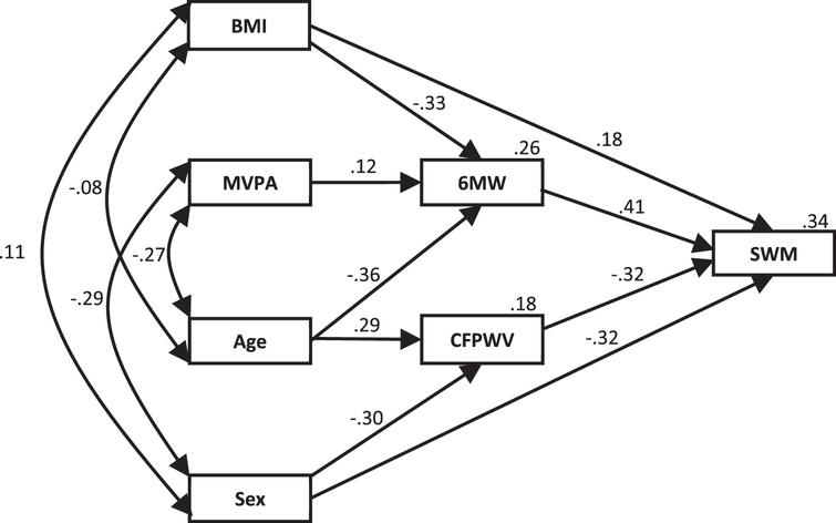 Overall model for the physical fitness and arterial stiffness contribution to the variability in SWM with the addition of moderate exercise. Standardized regression coefficients (β) are shown for each path and the percentage of variation explained is shown for each dependent variable. BMI, body mass index; MVPA, moderate-to-vigorous physical activity; 6 MW, Six-Minute Walk test; CFPWV, carotid-femoral pulse wave velocity; SWM, Spatial Working Memory.