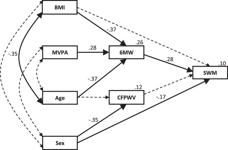 Lower-fitness model for the physical fitness and arterial stiffness contribution to the variability in SWM with the addition of moderate exercise. Standardized regression coefficients (β) are shown for each path and the percentage of variation explained is shown for each dependent variable. Dotted lines indicate non-significant pathways that were significant in the overall model. BMI, body mass index; MVPA, moderate-to-vigorous physical activity; 6 MW, six-minute walk test; CFPWV, carotid-femoral pulse wave velocity; SWM, spatial working memory.