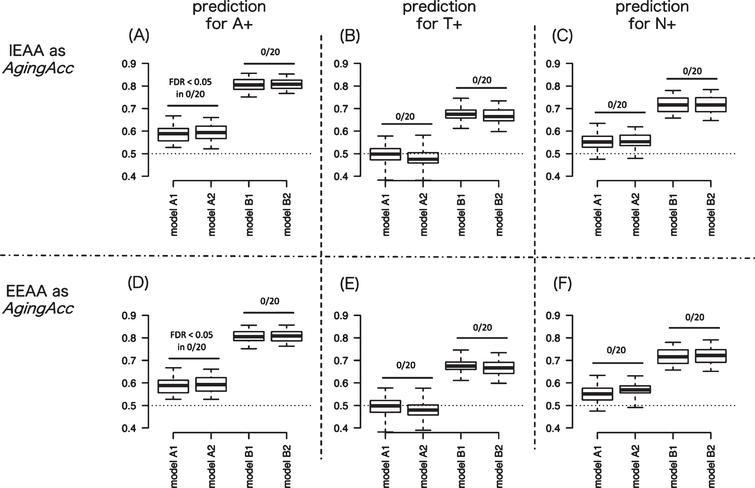Degree of AUC performance improvement by incorporating aging acceleration. To measure the usefulness of aging acceleration, we evaluated the AUC between models with different combination of features (model A1–B2). Panels A and D show the AUC results by 20 times of repeated trials predicting for A+ when IEAA (in A) or EEAA (in D) is included as epigenetic aging. Similarly, panels B and E show the AUC results predicting for T+ when IEAA (in B) or EEAA (in E) is included as epigenetic aging. And panels C and F show the AUC results predicting for N+ when IEAA (in C) or EEAA (in F) is included as epigenetic aging. The AUC results were compared between model A versus B and between model C versus D in panels A–F: significantly high AUC for A+ or T+ or N+ was not observed in any model pairs compared (as denoted by ‘FDR < 0.05 in 0/20’ in figures), across 20 times of randomization trials. In the box plot, upper and lower whiskers correspond to the maximum and minimum range, and the range of box corresponds to the interquartile range. Y-axis corresponds to the value of AUC. AUC, area under curve; AgingAcc, aging acceleration calculated based on the methylation clock and the actual chronological age; IEAA, intrinsic epigenetic aging acceleration; EEAA, extrinsic epigenetic aging acceleration; FDR, false-discovery rate.