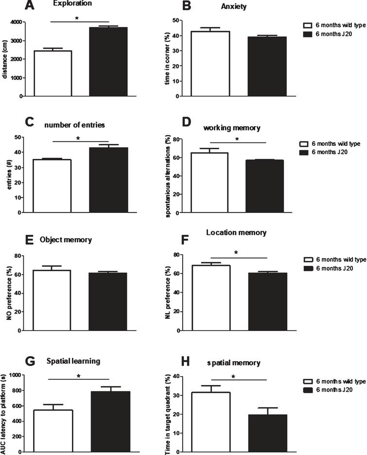 Evaluation of behavioral comparison between non-treated J20 mice and their wild type littermates at 6 months of age. A, B) Exploratory behavior and preference for the safe area of the open field, respectively. C, D) Total number of arms entered and % correct alternations, resp., in the spontaneous alternation test. E) Preference for the novel object in the Novel Object Recognition test (NOR) and F) preference for the relocated object in the Novel Location Recognition test (NLR). G) Area under the spatial learning curve as latency to find the platform (AUC). H) Spatial memory as the time spent in the target quadrant of the Morris Water maze test. *significant difference between J20 and wild type.