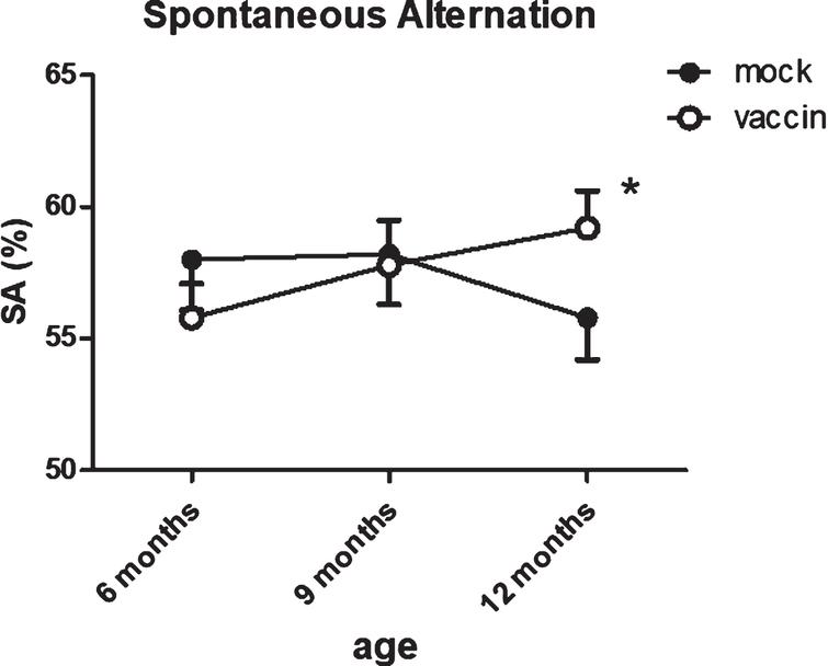 Serial measurements of spontaneous alternations as measure for working memory in the same mice shows a significant improvement after vaccination at 12 months. The number of arms entered in the spontaneous alternation test showed significant age-related decline, without effect of treatment. *significant difference between vaccinated and mock treated mice.