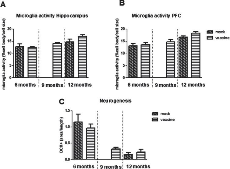 Neuroinflammation measured as microglia activity in hippocampus (A) and prefrontal cortex (PFC) (B) in the different experimental groups (n = 5–10 per group). C) Measurement of Double Cortin (DCX) positive area in hippocampus, as measure for neurogenesis (n = 8 per group).