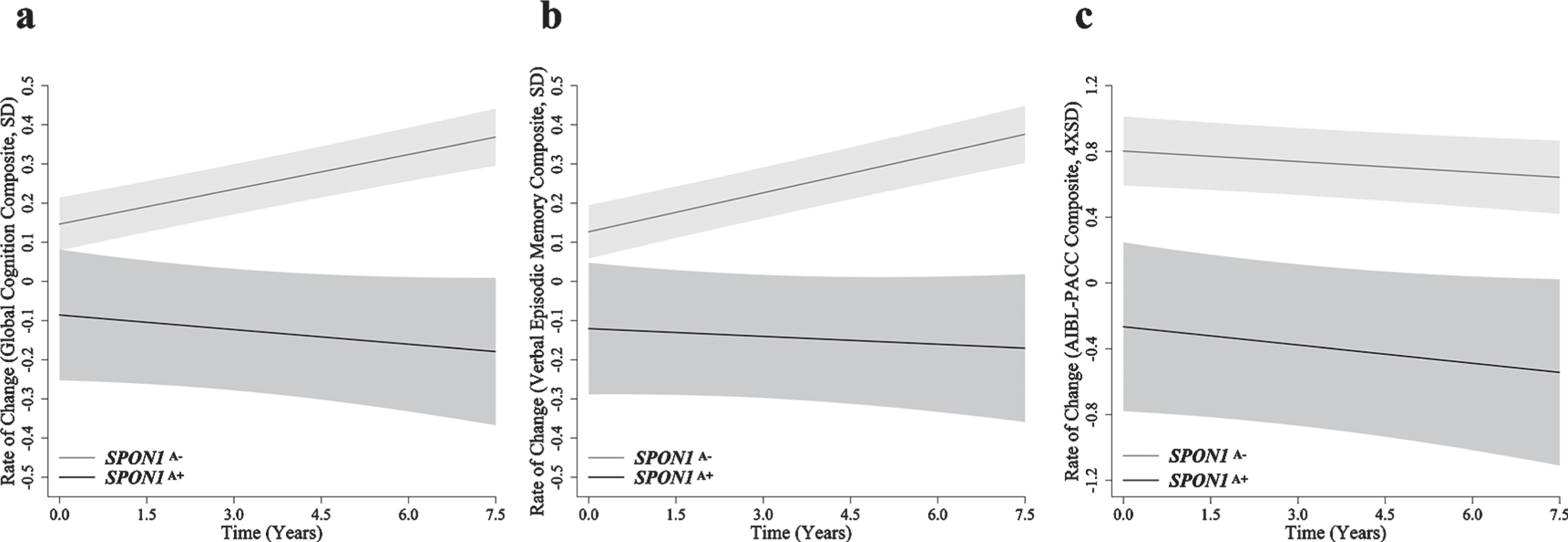 Rates of change in cognitively normal older adults. Rates of change are presented for (a) global cognition (SD/year), (b) verbal episodic memory (SD/year) and (c) AIBL-PACC (4×SD/year) in cognitively normal older adults (n = 590). SPON1A– (grey) and SPON1A+ (black). Controlling for APOE ɛ4 and amyloid-β status, AIBL-PACC analysis also controlled for age. Error bars represent time dependent standard error, *p < 0.05.