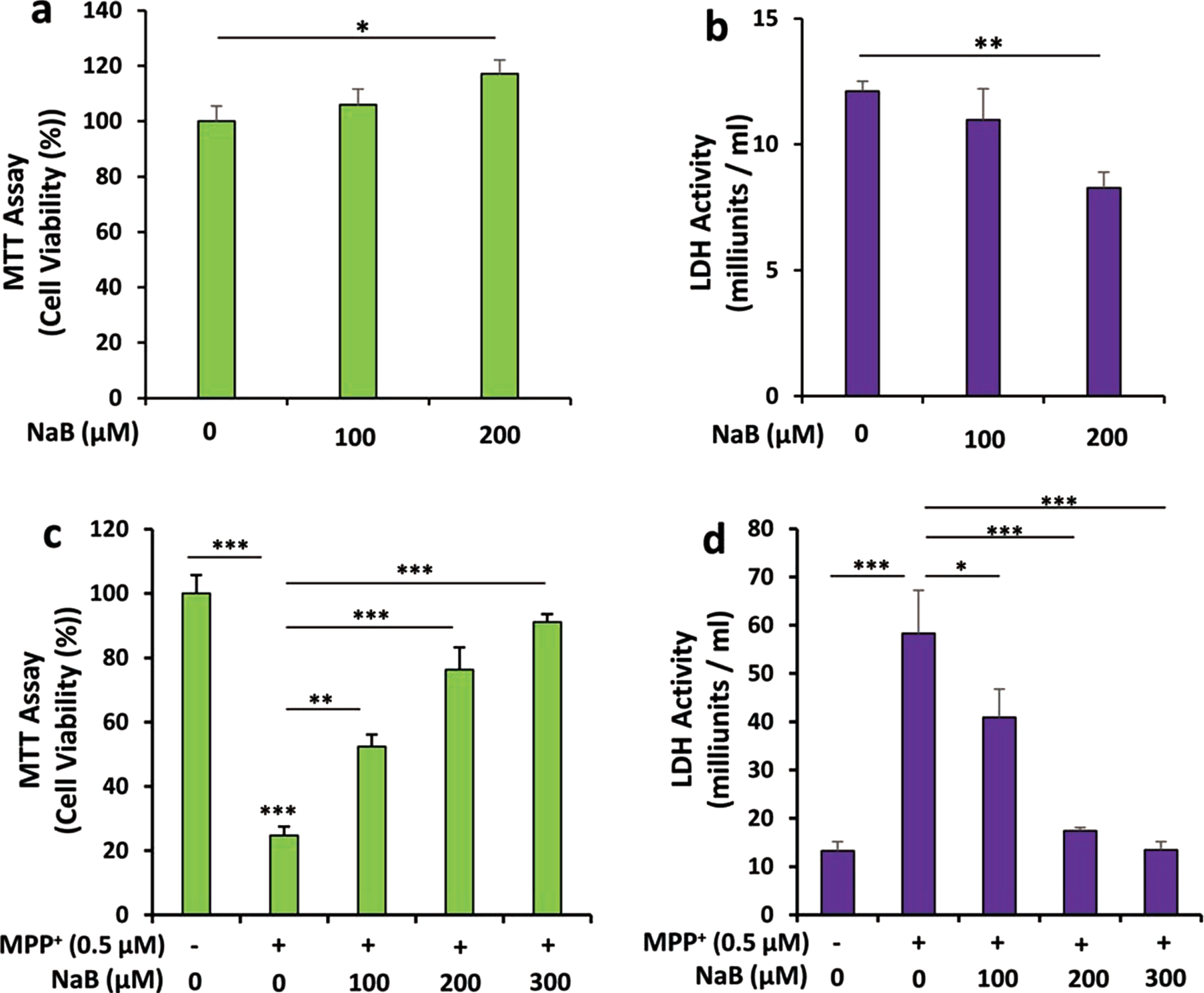 NaB stimulates cell viability and protects MN9D neuronal cells from MPP+-induced insult. Mouse MN9D neuronal cells were treated with different concentrations of NaB for 18 h under serum-free condition followed by measuring cell viability by MTT (A) and LDH (B). Cells pretreated with different concentrations of NaB for 2 h were insulted with 0.5μM MPP+ under serum-free condition. After 18 h, cell viability was measured by MTT (C) and LDH (D). Results are mean±SD of three independent experiments. *p < 0.05, **p < 0.01, and ***p < 0.001.