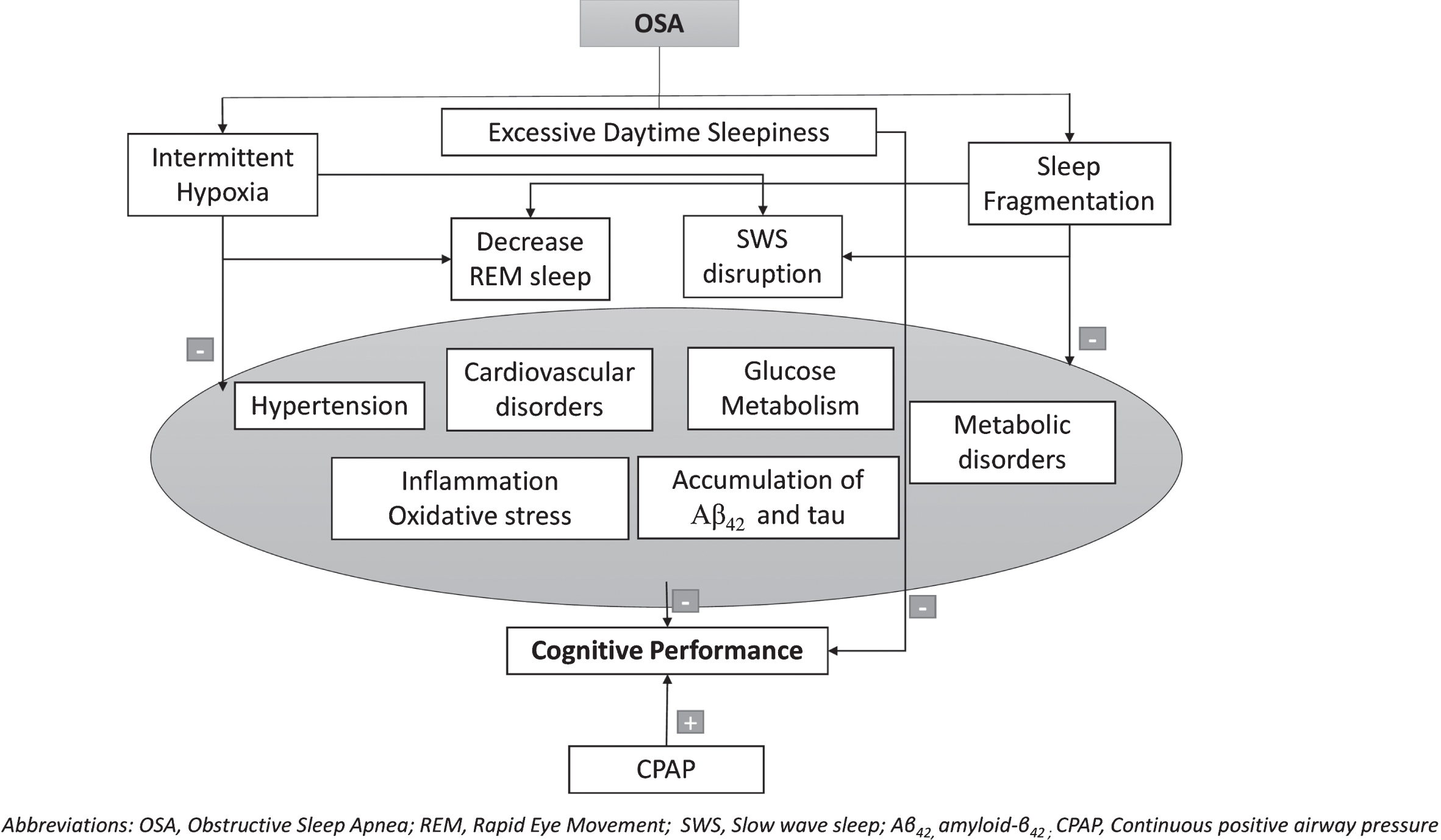 Possible intermediate detrimental mechanisms in the relation between OSA and cognitive deterioration.