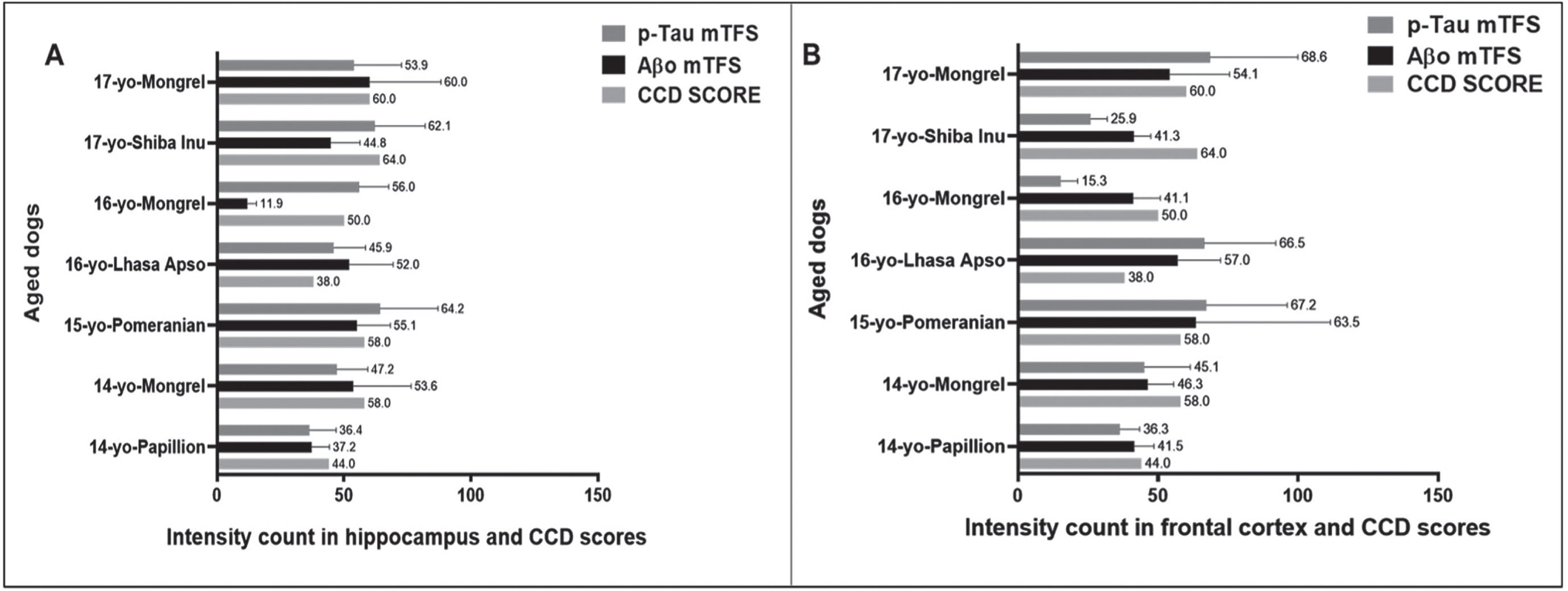 Comparing the CCD Scores with hippocampal and cortical Aβ1 - 42 oligomers (Aβo), hyperphosphorylated tau (p-Tau) mean Ten Field Score (mTFS) in seven aged dogs. CCD score of ≥50 were considered as CCD or dog dementia. mTFS is the mean value calculated from 10 consecutive high-power fields (40x). mTFS of Aβo in the hippocampus and frontal cortex: < 42 considered as low, 42–52 as moderate, > 52 as high and mTFS of p-Tau < 40 considered as low, 40–50 as moderate, > 50 as high in the hippocampus and frontal cortex respectively. A small size male Pomeranian with CCD score of 58 has the highest Aβo mTFS = 55.1 and 63.5 and p-Tau mTFS = 64.2 and 67.2 in the (A) hippocampus and in the (B) frontal cortex respectively. In the (A) hippocampus a 16-year-old small size female Mongrel with CCD score of 50 exhibited the lowest Aβo mTFS = 11.9 and a 14-year-old small size castrated male Papillion with CCD score of 44 showed the lowest p-Tau mTFS = 36.4 whereas, in the (B) frontal cortex a 16-year-old small size female Mongrel with CCD score of 50 showed the lowest Aβo mTFS = 41.1 and p-Tau mTFS = 15.3 respectively.