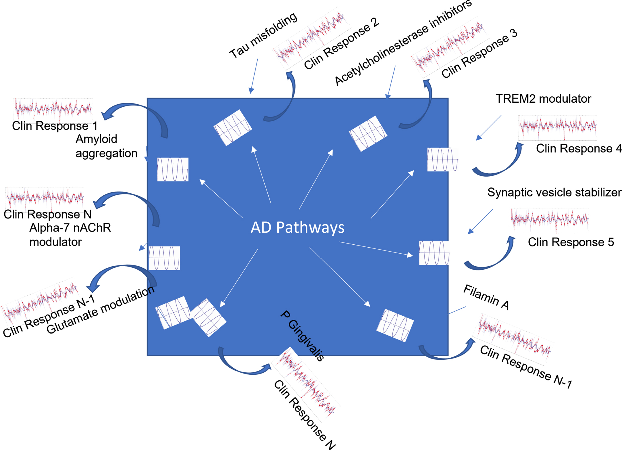 Schematic representation of the ‘seismology’ strategy for elucidating key pathways driving the AD phenotype. Using the concept of AD pathology as a black box, each clinical trial (1 ...  N) with a drug acting on a specific target (here a few examples are given for which clinical data in principle are available) can be considered a highly localized challenge that generates a perturbation inside the system and generating a reaction captured as the clinical outcome of that intervention. This response is a highly complex combination of the underlying pathology and the pharmacodynamic activity and pharmacokinetic profile of the drug. The challenge is to “deconvolute” this response so as to generate actionable knowledge about the internal pathways and circuits triggered by this perturbation. Modeling these “interventions” in an actionable computer model using available information about the pharmacology of the drug together with extensive biological and genetic knowledge can significantly speed up this process. In principle, this would allow us to gradually document more and more complex pathways and their interactions in the human patients.