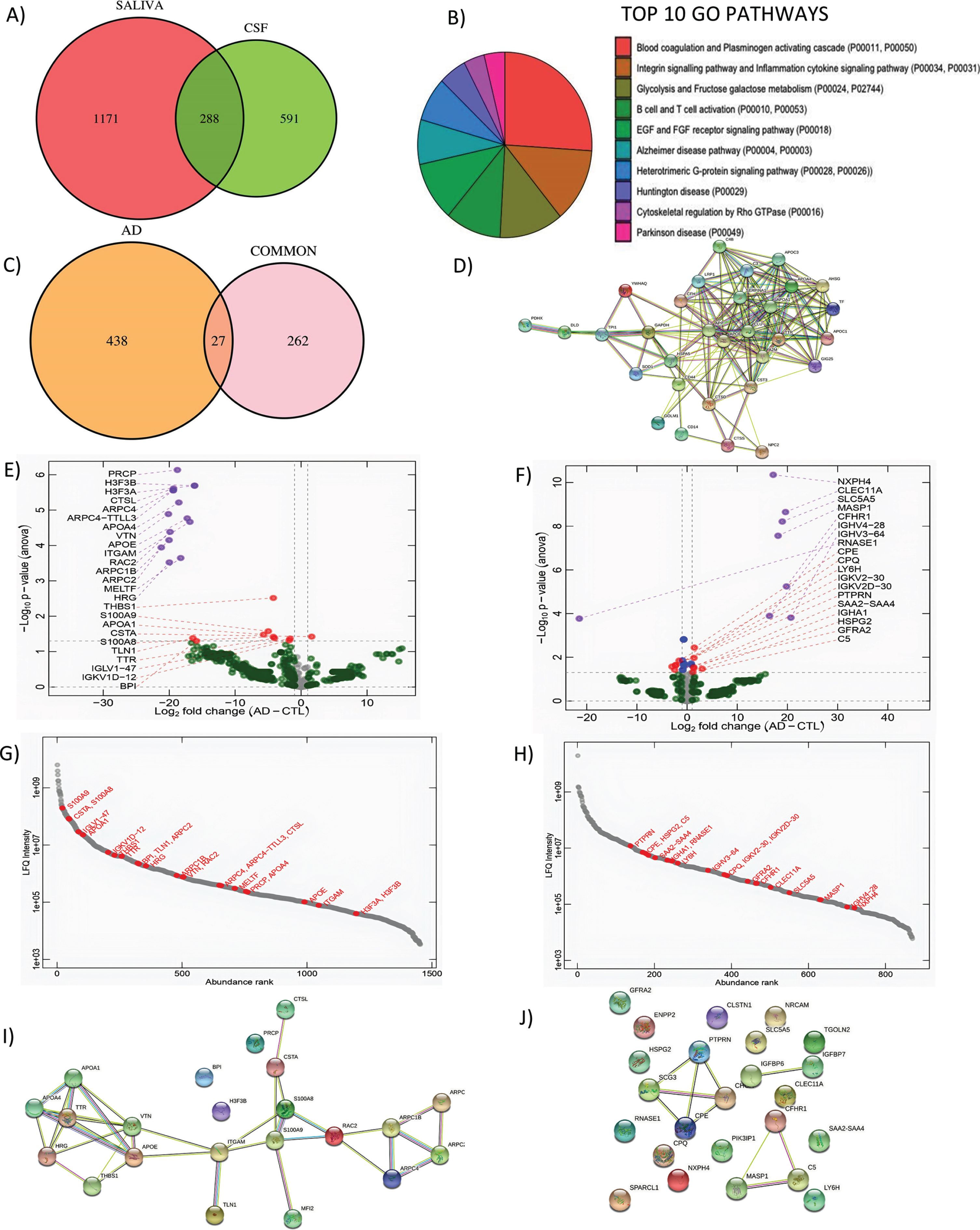 Shotgun proteomics to compare saliva and CSF and correlation analysis of differentially expressed genes in saliva. A) GO Biological pathways for salivary proteins. B) Number of shared proteins between saliva and CSF. C) Number of shared hits between common proteins and AD related proteins. D) STRING map shows the functional association based on the string database indicating the interactome of commonly shared proteins in saliva and CSF with AD. E) Volcano plots showing differential expression in saliva and F) CSF between AD and CN. G) Abundance rank dot plots for saliva and H) CSF shows the range of expression levels for the differentially expressed proteins. I) STRING map shows the interaction of differentially expressed proteins in saliva and J) in CSF. In the STRING map, the pink line represents the known interaction that is experimentally determined, blue line represents the known interaction from curated databases, green line represents predicted interaction due to gene neighborhood, red line represents prediction due to gene fusions and dark blue line represents prediction due to gene co-occurrence.
