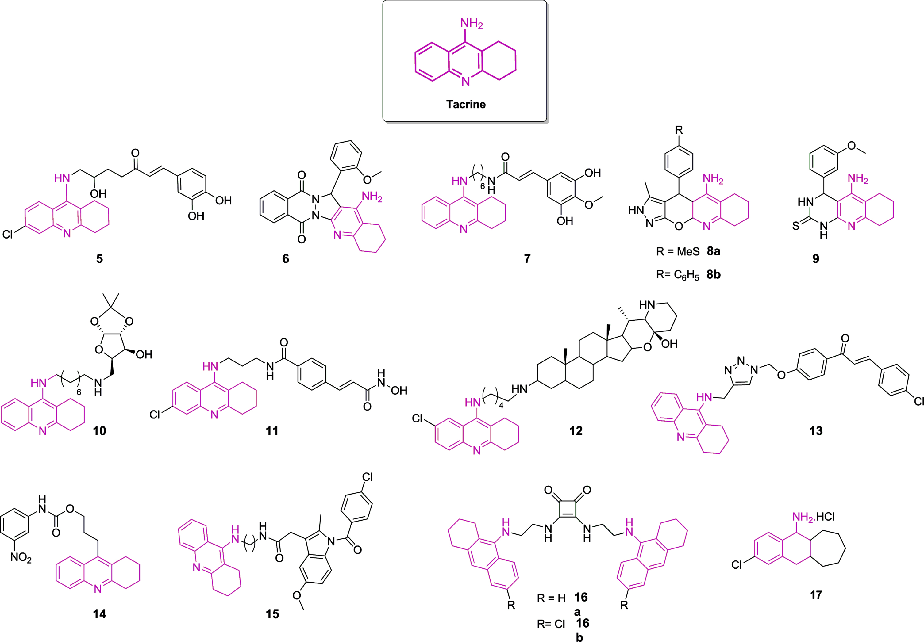 Chemical structure of tacrine and most potent tacrine-based hybrids as ChE inhibitors described in the last years. The color pink highlights the 1,2,3,4-tetrahydroakridin-9-amine rings as derivatives in each structure.