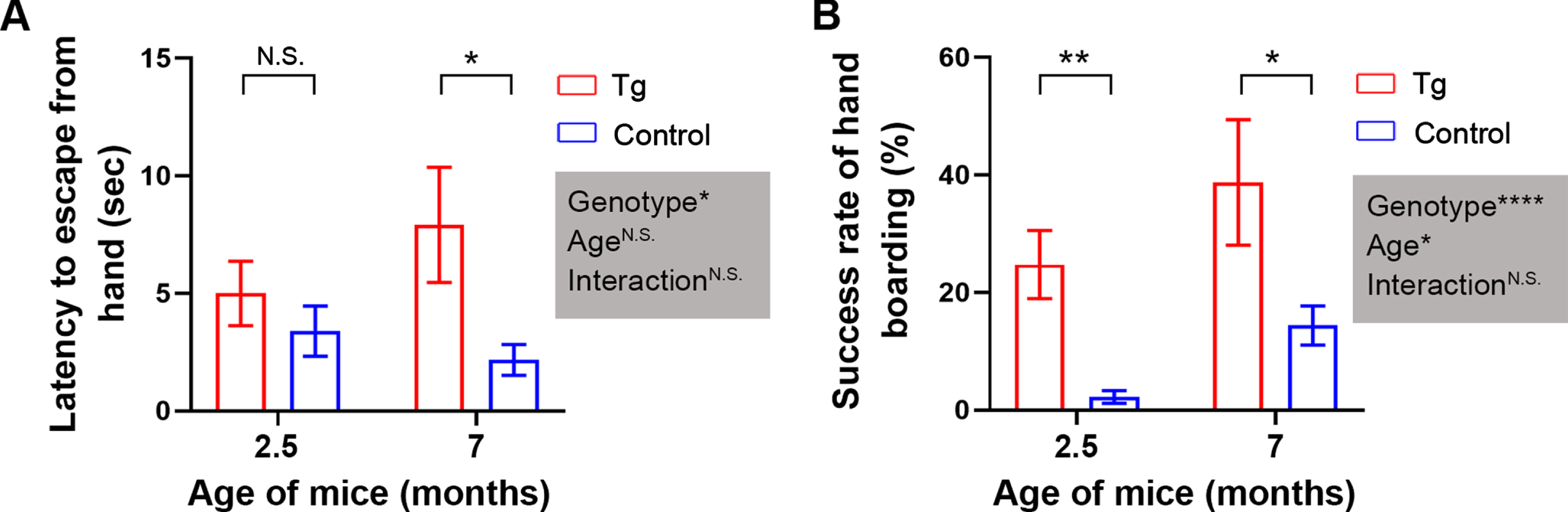The baseline level of tameness is markedly higher in 2.5- and 7-month-old 3×Tg-AD mice than in age-matched B6;129 genetic control mice. A) Hand-staying assay. B) Hand-boarding assay. Data are expressed as mean±SEM (n = 12−23 mice/condition) and analyzed with two-way ANOVA. Shaded boxes show main factor effects and the interaction between factors. *p < 0.05, **p < 0.01, ****p < 0.0001. Tg, 3×Tg-AD; control, B6;129 genetic control to 3×Tg-AD; N.S., non-significant. These abbreviations also apply to the other figures unless otherwise specified.