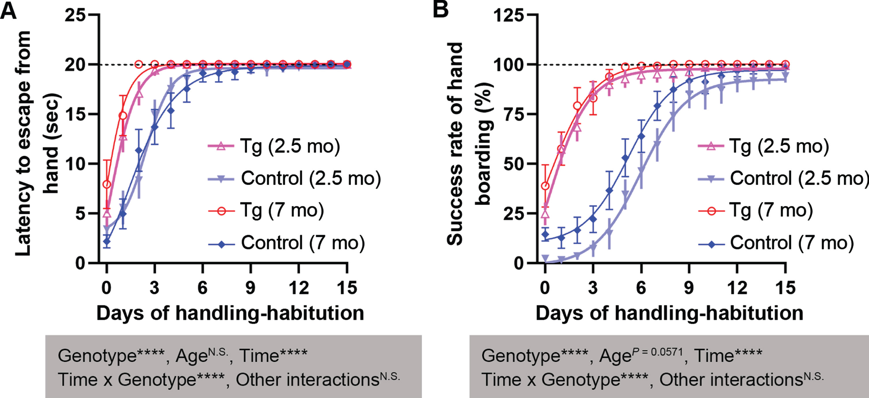 The 2.5- and 7-month-old 3×Tg-AD mice are handling-habituated more quickly than age-matched B6;129 genetic control mice. A) Hand-staying assay. B) Hand-boarding assay. Data are expressed as mean±SEM (n = 12−23 mice/condition) and analyzed with repeated-measures ANOVA. The Boltzmann sigmoidal and Gompertz growth models are employed for curve fit (see Table 1 for the equations). Shaded boxes show main factor effects and interactions. The dashed line shows the cutoff value (A) or the maximal percentage (B). ****p < 0.0001. mo, months.