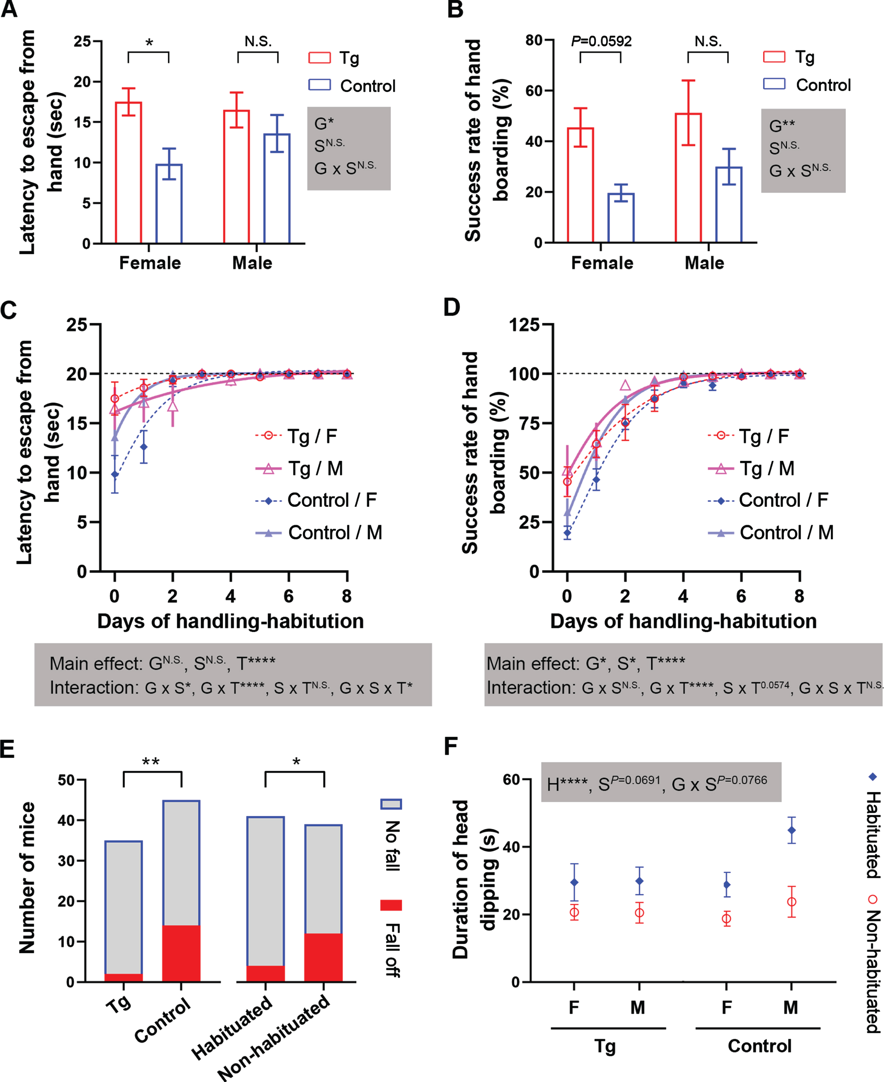 Middle-aged 3×Tg-AD mice are tamer than age-matched control mice and prior handling-habituation markedly enhances the performance of these mice in the elevated plus maze task. Mice of each sex for each genotype, at the age of 11.5 months, were randomized into handling-habituated and non-habituated groups. A, B) Baseline assays of hand-staying and hand-boarding, respectively. C, D) Curve fits of the progress of handling-habituation with the Gompertz growth model. E) Stacked bars showing reduced incidence of falling off the elevated plus maze in handling-habituated mice and in 3×Tg-AD mice. F) Interleaved symbols showing increased duration of head dipping into the open arms. Data are expressed as mean±SEM and analyzed with two-way (A, B), repeated-measures three-way (C, D), or three-way (F) ANOVA. n = 8–13 mice/condition in (A-F); n = 5–11 mice/condition in (F) due to exclusion of mice that fell off the maze. Data in (E) is analyzed with Fisher’s exact test. *p < 0.05, **p < 0.01, ****p < 0.0001. The shaded boxes show corresponding ANOVA results, including main effects and interactions. The exact p values are shown when they are closed to 0.05. F, female; G, genotype; H, habituation; M, male; N.S., non-significant; S, sex; T, time.
