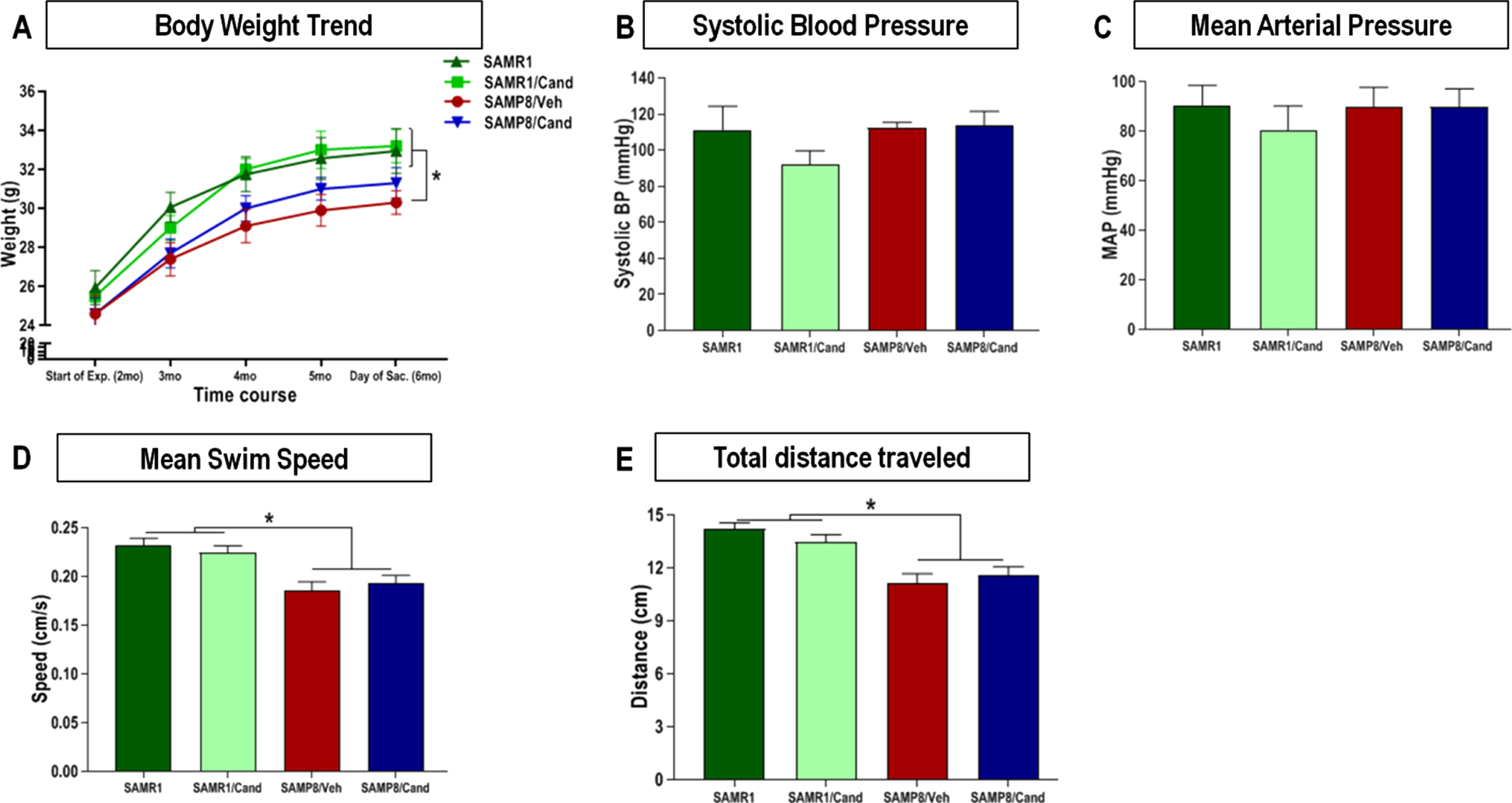 Effect of strain (SAMR1 versus SAMP8) and long-term candesartan treatment on (A) body weight, (B, C) blood pressure, and (D, E) motor performance. Repeated measures ANOVA/mixed models were used to examine differences in body weights between the 4 groups over time, with statistical significance for post hoc pair-wise comparisons, denoted by *p < 0.05. Systolic and mean arterial blood pressures were obtained by non-invasive tail-cuff plethysmography, and differences between the groups were assessed by one-way analysis of variance with a Tukey-Kramer multiple comparisons test used to examine post hoc pair-wise differences. This was also used to compare differences in swim speeds, and total distance traveled on the MWM test for motor performance (n ≈ 10 animals/group,±SEM, *p < 0.05).