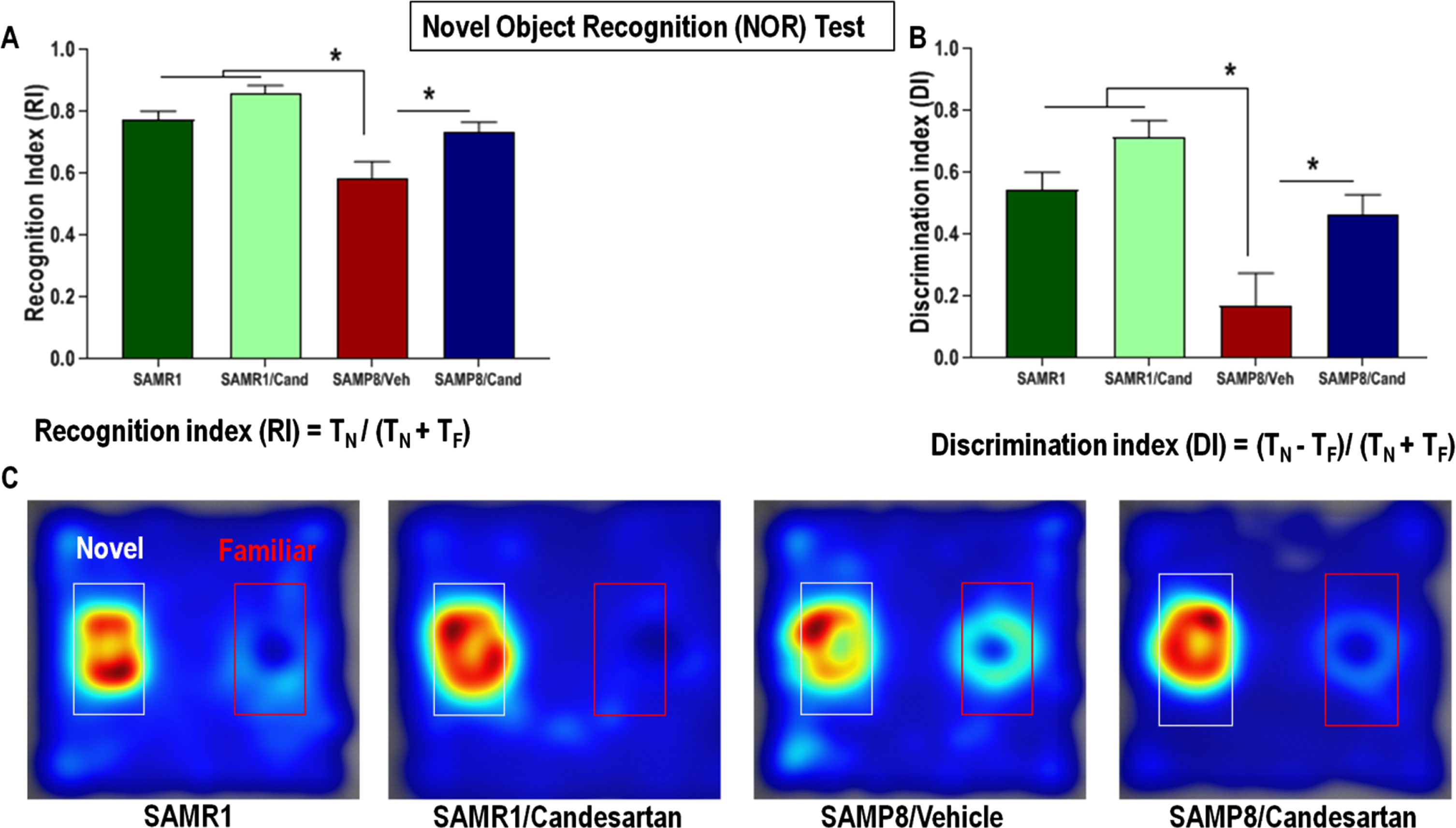 Effect of long-term candesartan treatment on non-spatial, short-term working memory in SAMR1 and SAMP8 mice. A) Recognition index (RI) - time spent exploring the novel object relative to the total time of exploration. B) Discrimination index (DI) – the difference in exploration time for the different objects to the total time of exploration. C) Heat Maps illustrating relative time spent in the various locations during the retention test. The novel object is located within the white-rimmed area. TF and TN are the times spent interacting with the familiar and novel object, respectively (n ≈ 10 animals/group,±SEM, *p < 0.05).