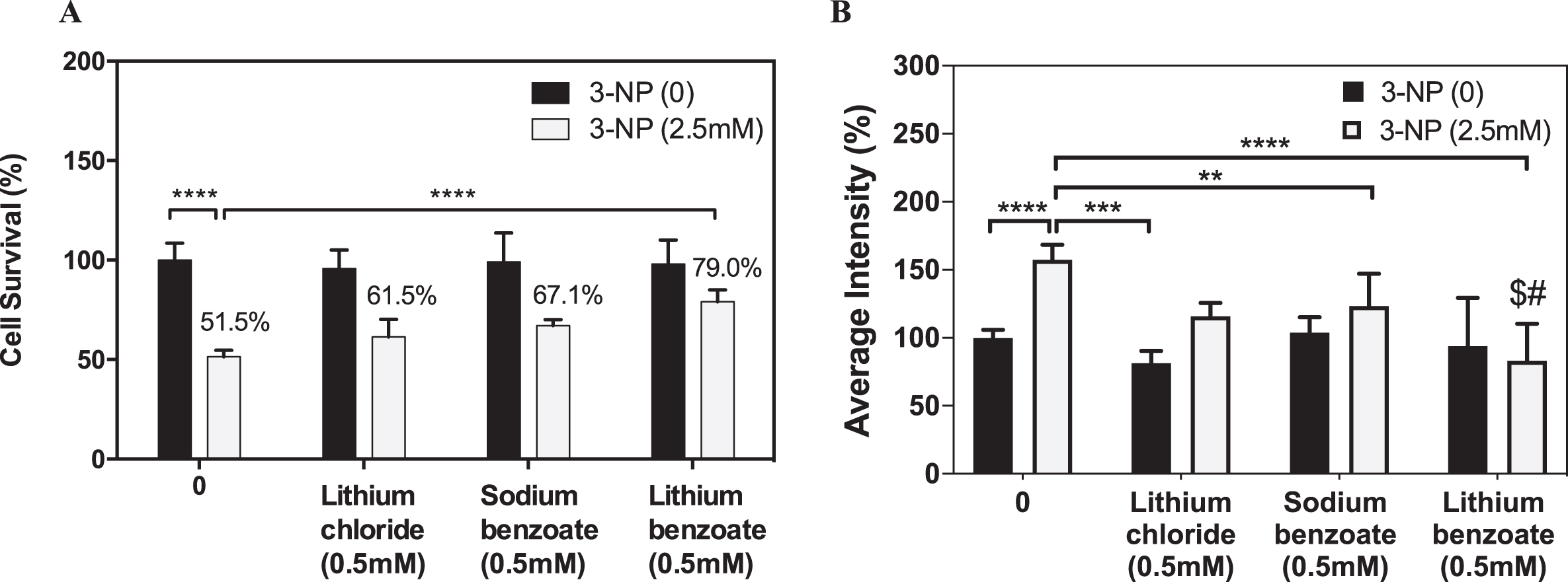 Effects of lithium chloride, sodium benzoate, and lithium benzoate on neuron protection and ROS reduction in 3-NP-treated neuronal cells. Primary rat cortical neuron cultures were treated with lithium chloride (LiCl), sodium benzoate (SB), or lithium benzoate (LiBen) at 0.5 mM for 24 h prior to 3-nitropropionic acid (3-NP) at 2.5 mM exposure for additional 24 h. A) Cell survival was assessed by counting of Hoechst-stained nuclei of surviving cells from each group. B) The 3-NP-induced reactive oxygen species (ROS) production in the primary rat neuronal culture was quantified by using CellRox fluorescence staining. Data represent mean ± SD from N = 3 for each experiment condition and analyzed by one-way analysis of variance (ANOVA) followed by a post hoc Student-Newman-Keuls test. **p<0.01; ***p<0.001; ****p<0.0001 as compared to the cells challenged with 3-NP alone without preconditioning. $ represents p < 0.05 as LiBen compared to LiCl with 3-NP treatment. # represents p < 0.01 as LiBen compared to SB with 3-NP treatment.