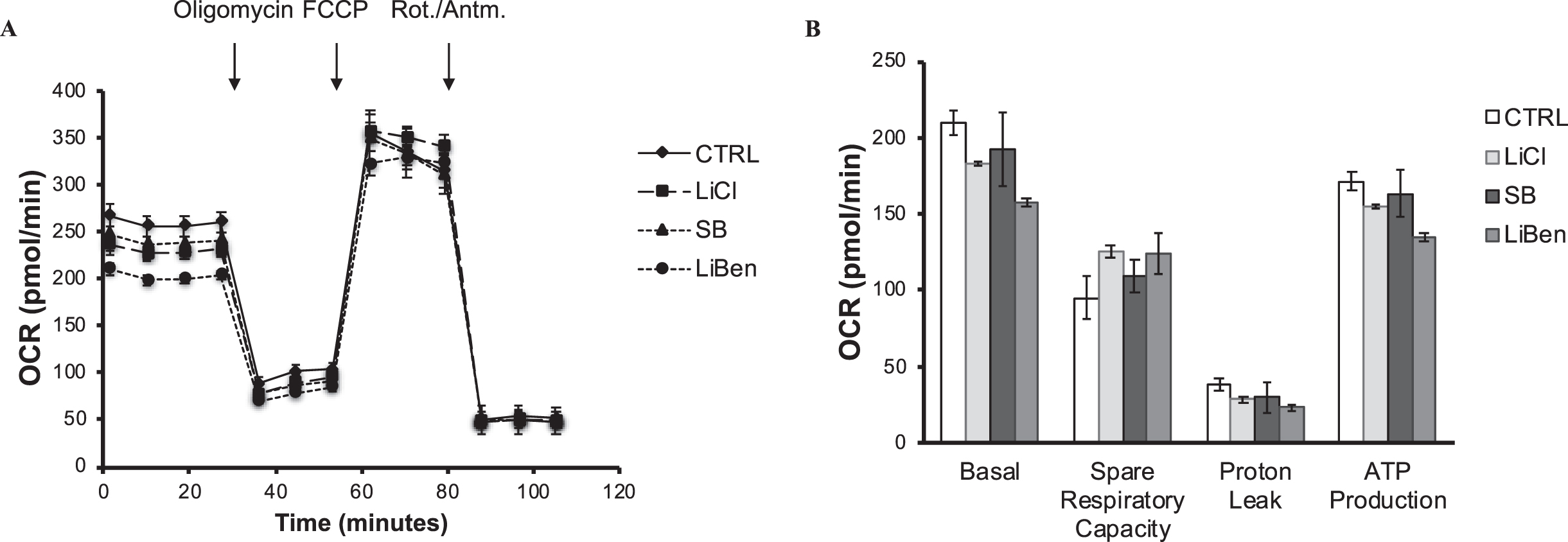 Analysis of the impact of lithium chloride, sodium benzoate and lithium benzoate on mitochondrial functions. Primary rat cortical neuron cultures were treated with lithium chloride (LiCl), sodium benzoate (SB), or lithium benzoate (LiBen) at 3 mM for 24 h prior to analysis of mitochondrial function. The Seahorse XF96 analyzer was employed to determine the mitochondrial oxygen consumption rate and mitochondrial ATP production. A) The mitochondrial oxygen consumption profile of mitochondrial stress test for neuronal culture. B) Bar graph represents the key parameters of metabolic function including basal respiration, ATP production, proton leak, and spare respiratory capacity of the treated neuronal cells. Data represent mean ± SD from N = 3 for each experiment condition. CTRL, Control; FCCP, Carbonyl cyanide p-trifluoro-methoxyphenyl hydrazone; OCR, Oxygen consumption rate; ROT., Rotenone; Antm., Antimycin A.
