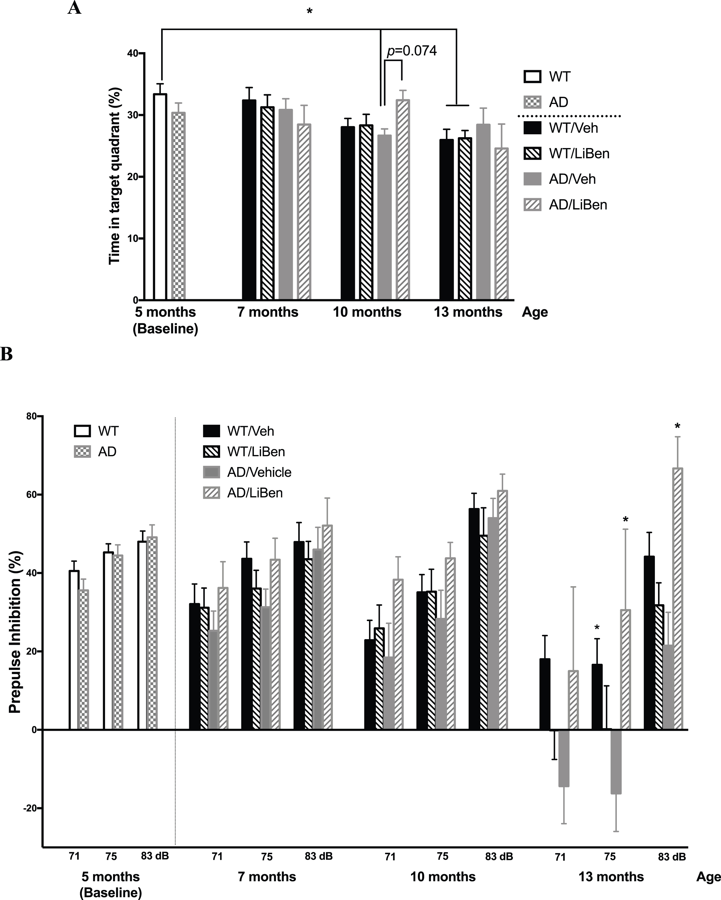 Effect of lithium benzoate on the cognition and memory impairment in AD transgenic mice model. AD transgenic mice (AD, APPswe/PS1-dE9 line) received intraperitoneal injection of vehicle (AD/Veh, N = 16) or lithium benzoate (AD/LiBen, N = 12), and wild-type (WT) littermates received intraperitoneal injection of vehicle (WT/Veh, N = 27) or lithium benzoate (WT/LiBen, N = 23) for 8 months beginning at 5 months of age. A) Cognition and memory abilities of AD mice and their wildtype littermates were assessed using the Barnes maze test. The bar graph represents the ratio of time spending in the target quadrant divided by total exploring time during the probe trial of the test at the indicated age. LiBen-treated APP/PS1 mice (AD/LiBen) at 10 months of age tended to spend more time in target quadrant (p = 0.074), compared with vehicle-treated APP/PS1 mice (AD/Veh). B) Bar graphs represents the prepulse inhibition (PPI%) of AD mice and WT littermates at the indicated age. Some of the AD mice showed negative PPI suggesting of hearing impairment. Data presented as mean ± S.E.M. Two-way analysis of variance (ANOVA) followed by Dunnett’s multiple comparison test was used. * Represents p < 0.05 as compared to WT mice at 5 months of age for Barnes maze test and to the concurrent AD/Veh mice for PPI test. AD, Alzheimer’s disease transgenic mice; WT, Wildtype littermates; Veh, Vehicle; LiBen, Lithium benzoate.
