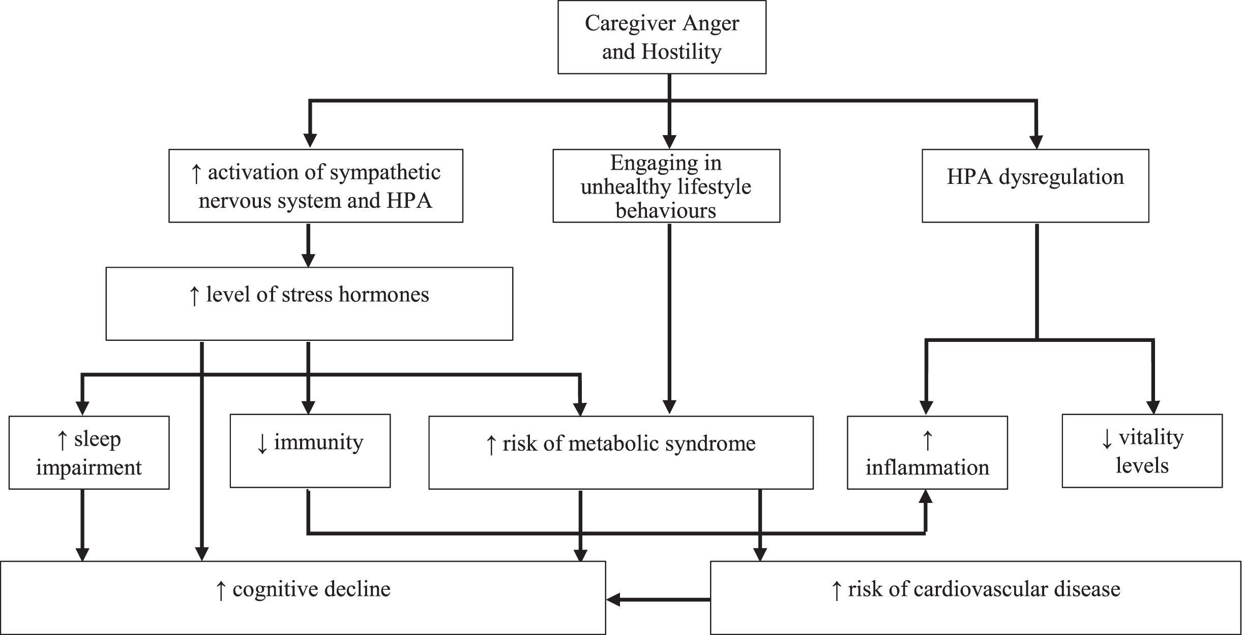 Mechanisms of caregiver anger and hostility and their link to physical illness in dementia caregivers. HPA, hypothalamic–pituitary–adrenal axis.