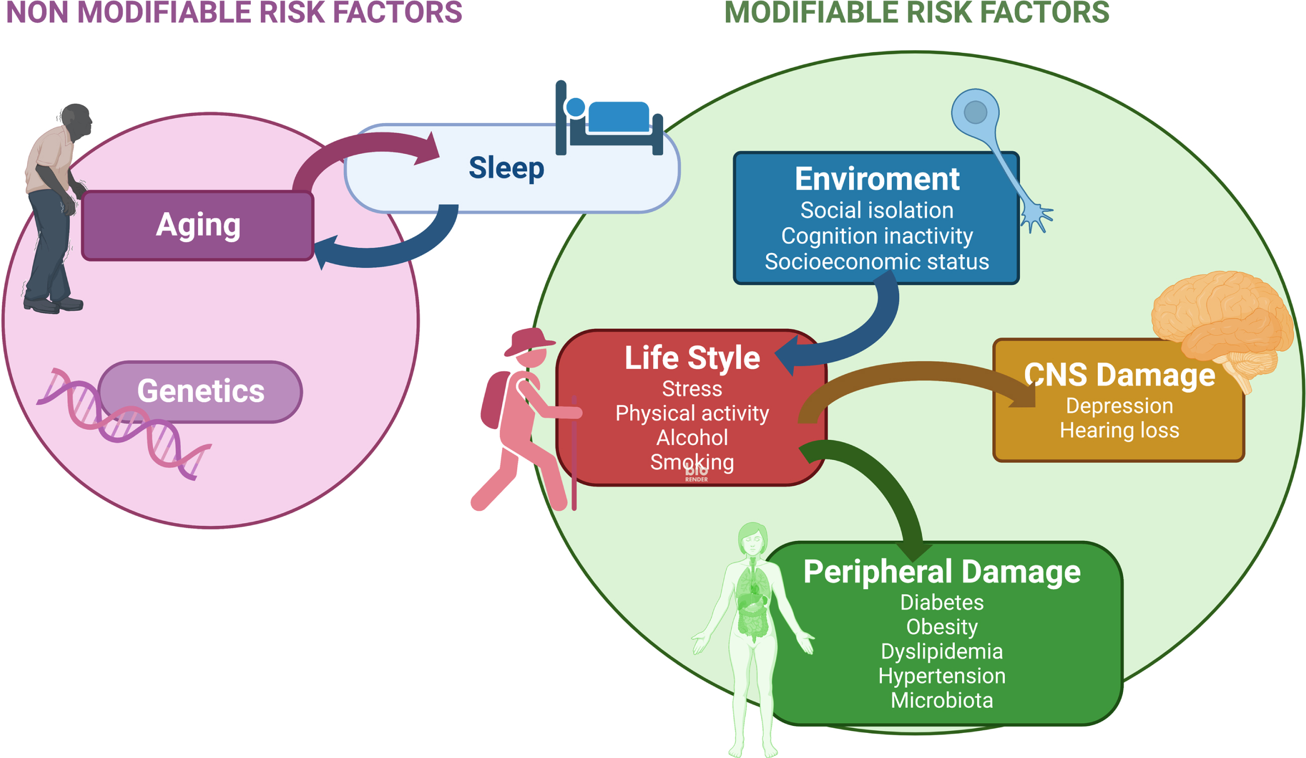 Modifiable risk factors-Kinetics and links between them. Sleep disturbance is related to increasing age and it could be one of the earlier modifiable risk factors for AD (see text). Other modifiable risk factors related to the environment, lifestyle, or damage to the nervous system, peripheral tissues or organs are indicated. Arrows show the links between these modifiable risk factors.