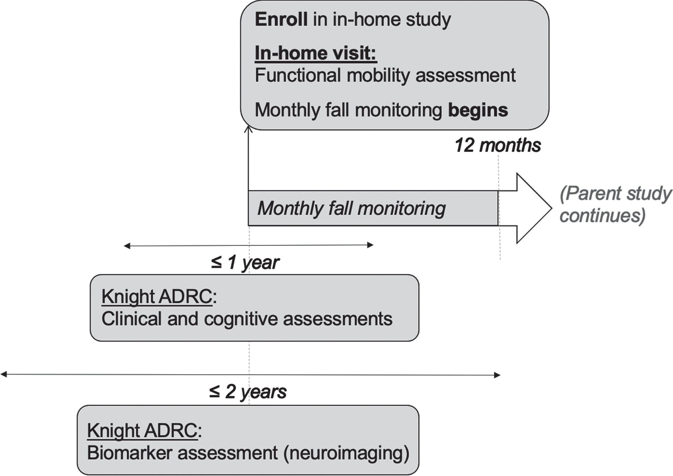 Timeline of study procedures. ADRC, Alzheimer’s Disease Research Center.