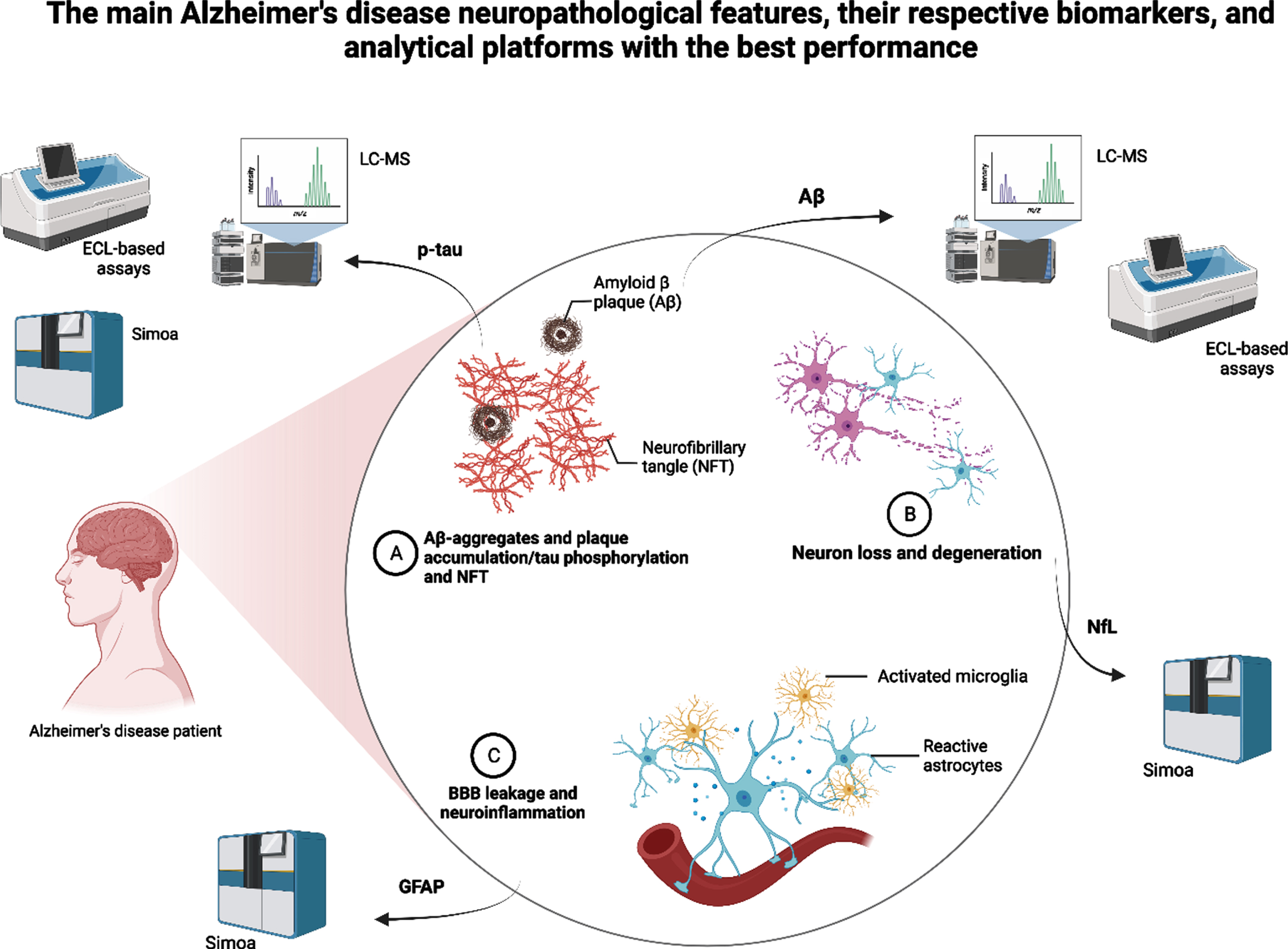 Summary of the main Alzheimer’s disease neuropathological features, their respective and most promising biomarkers, and the analytical platforms that showed the best performance in recent studies. LC-MS, liquid chromatography-mass spectrometry; ECL, electrochemiluminescence; Simoa, single-molecule array; p-tau, plasma phosphorylated tau; Aβ, amyloid-beta; GFAP, glial fibrillary acidic protein.