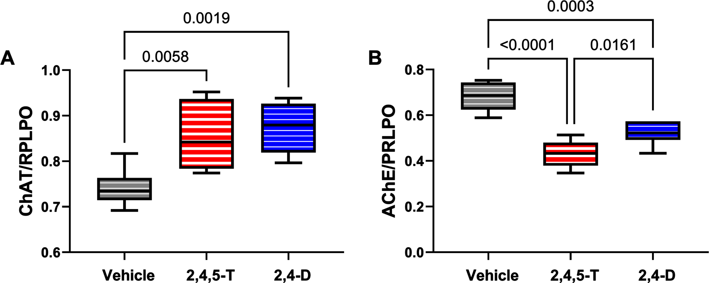 Effects of Agent Orange herbicidal toxin exposures on cholinergic enzyme protein expression. Human PNET2 cells treated for 48 h with Vehicle, 250μg/ml 2,4,5-T or 250μg/ml 2,4-D were analyzed for (A) ChAT and (B) AChE immunoreactivity by duplex ELISA with results normalized to large acidic ribosomal protein (RPLPO). Results were analyzed by one-way ANOVA (Table 5). Significant differences (p < 0.05) by post hoc Tukey tests are indicated. Each group included 6 replicate cultures. 2,4,5-T, 2,4,5-trichlorophenoxyacetic acid; 2,4-D, 2,4-dichlorophenoxyacetic acid; ChAT, choline acetyltransferase; AChE, acetylcholinesterase.