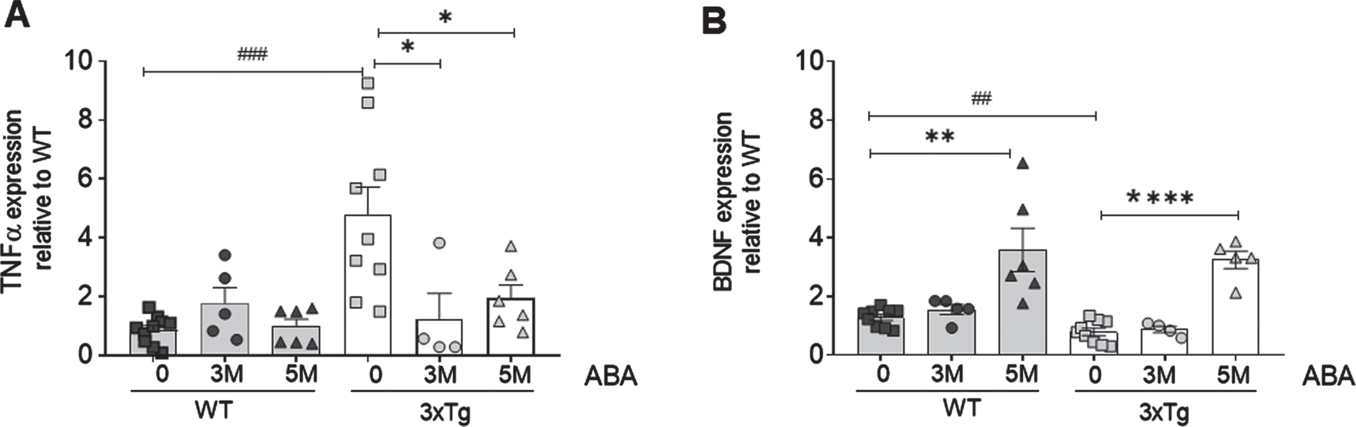 ABA treatment (A) reduces hippocampal TNF and (B) increases BDNF expression as measured by qPCR. Data are represented as the mean±of at least 5–9 independent subjects in triplicate. Data were analyzed by Student t-test (*p < 0.05, **p < 0.01, and ****p < 0.0001 for ABA effect; # #p < 0.01 and # # #p < 0.001 for genotype effect).