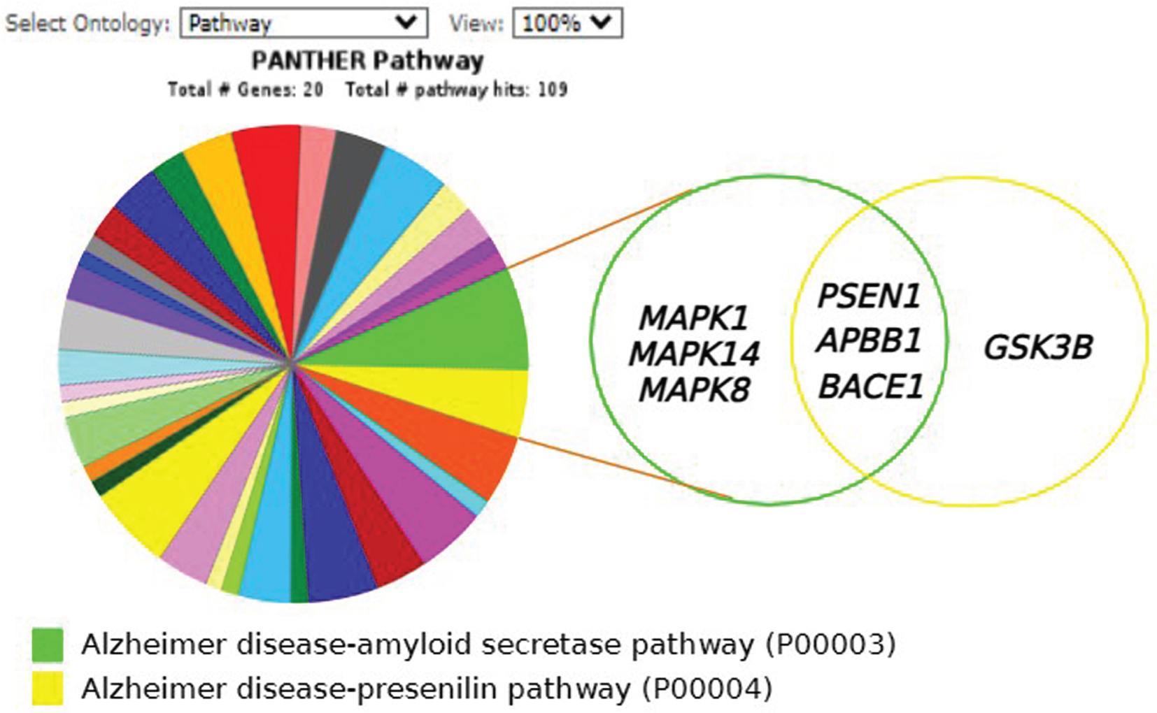 PANTHER analysis of shortlisted proteins from 12 independent Streptomyces-treated studies. The classification of proteins present in more than two research articles were analysed using PANTHER gene ontology of 20 selected proteins based on PANTHER Pathway; Alzheimer’s disease-amyloid secretase pathway (P00003) and Alzheimer’s disease-presenilin pathway (P00004). The Venn diagram shows overlapping between two pathways producing three (3) specific proteins; PSEN1 (PSEN1), amyloid-β(APBB1) and BACE1(BACE1). (Created in BioRender.com).