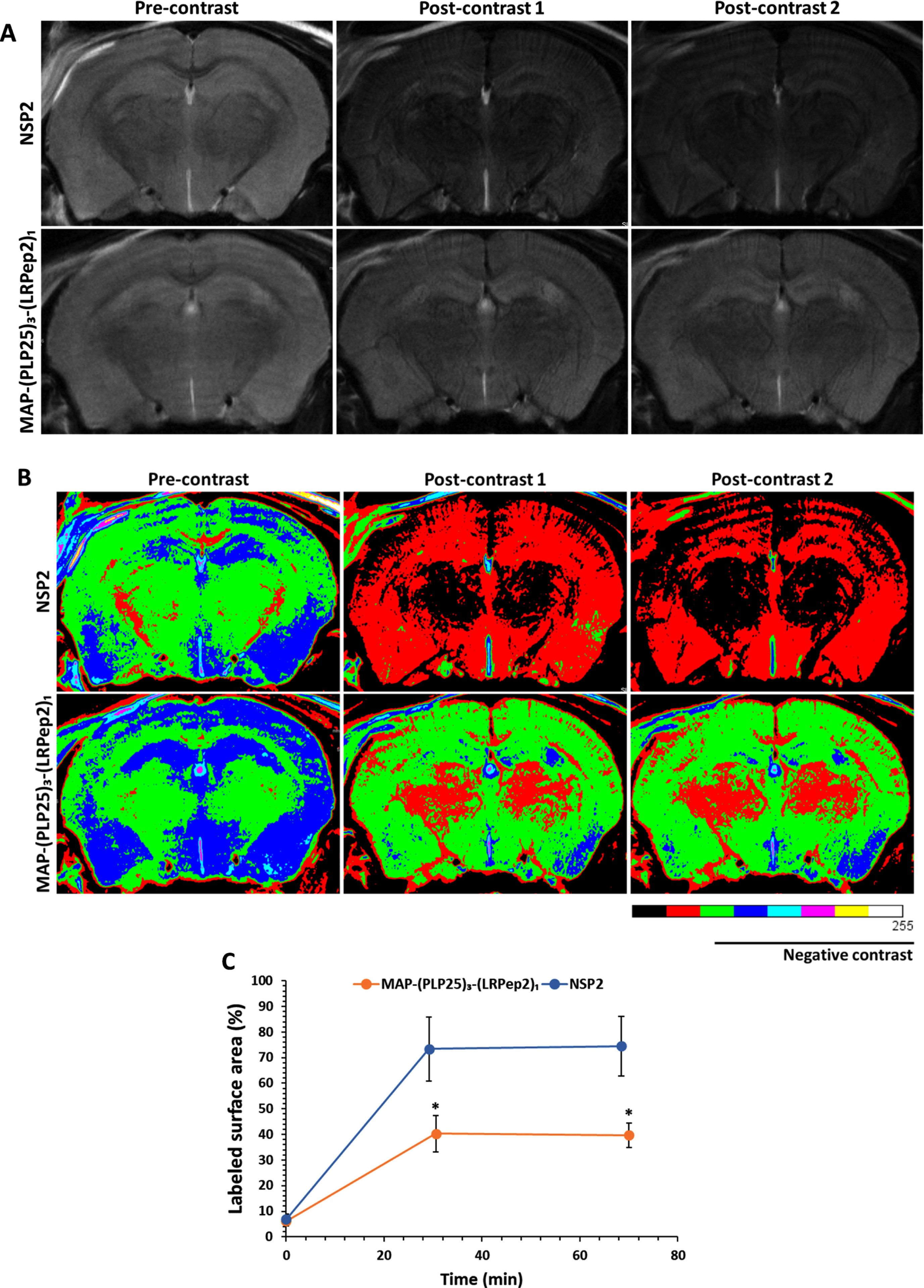 Representative raw (A) and colored (B) images of APP/PS1 mice treated with NSP2 or MAP-(PLP25)3-(LRPe2)1, acquired with a RARE sequence, before (pre-contrast) and after (post-contrast) injection of USPIO-PHO targeting Aβ. C) Percentage of the area labeled with black pixels (USPIO-PHO is a negative contrast agent generating black contrast) as compared to the total area (brain), reflecting the accumulation of USPIO-PHO to AP. *p < 0.05 (Student’s t-test).