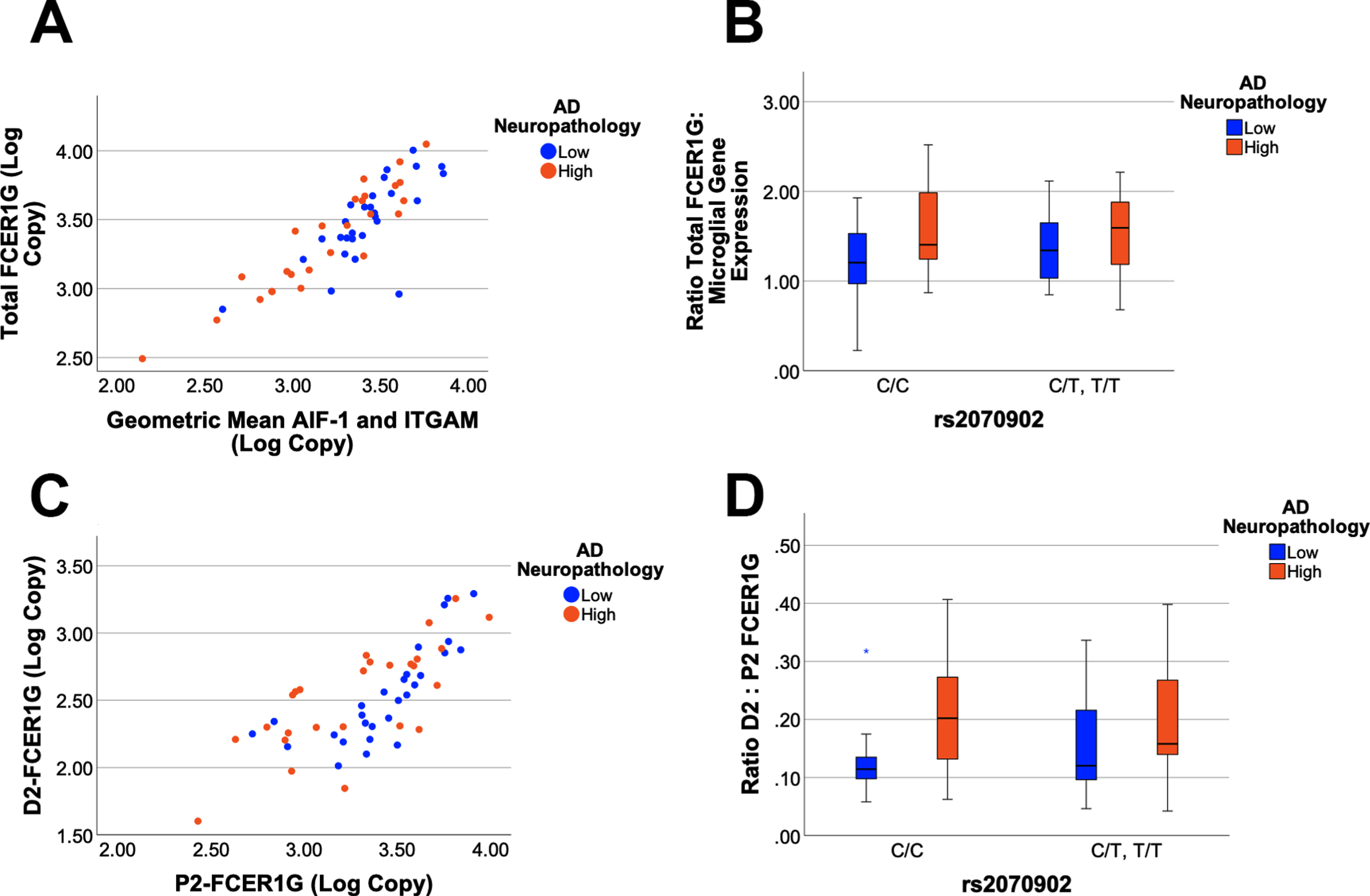FCER1G isoform expression as a function of AD neuropathology and genetics. Total FCER1G expression correlates strongly with the expression of microglial genes (p < 0.0001, r2 = 0.740), which are modeled as the geometric mean of mean of AIF-1 and ITGAM expression (A). A General Linear Model analysis found that the ratio of total FCER1G: microglial gene expression is increased with AD neuropathology (p = 0.04) but not associated with rs2070902 (p > 0.05) (B). The expression of D2-FCER1G correlated well with P2-FCER1G (p < 0.0001, r2 = 0.563) (C). The ratio of D2- FCER1G: P2-FCER1G expression was increased in samples with high AD neuropathology (p = 0.02) but was not associated with rs2070902 (p > 0.05) (D). In the box plots, the median and middle interquartile range are represented by the horizontal bar and accompanying box, respectively. The whiskers demarcate 1.5 times the interquartile range while an asterisk (D) denotes outliers beyond this range.