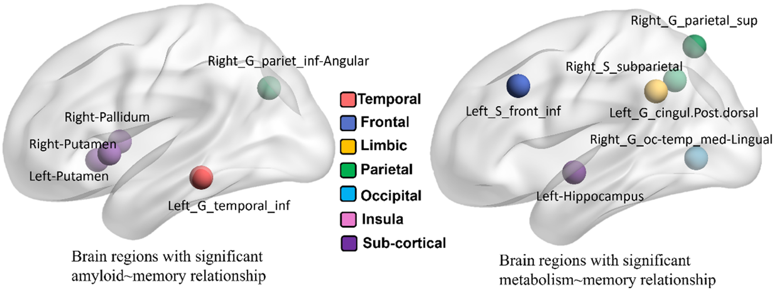 Selected brain regions from amyloid-PET (left) and FDG-PET (right) w.r.t. memory score.